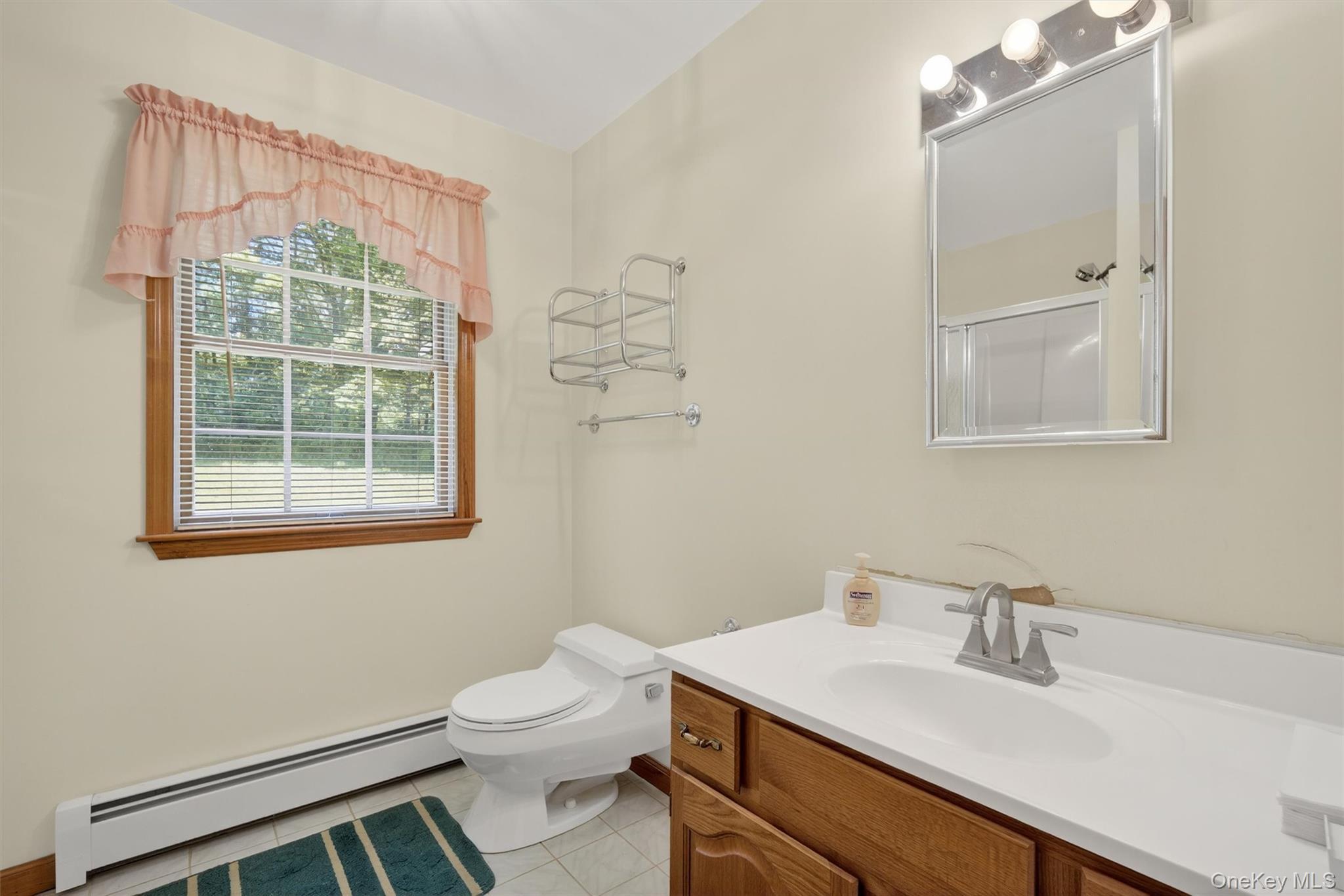 Single Family Toleman  Orange County, NY 12575, MLS-878015-21