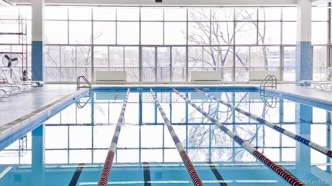 Coop Johnson  Bronx, NY 10463, MLS-878022-14