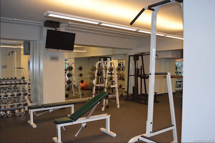 Coop Johnson  Bronx, NY 10463, MLS-878022-17