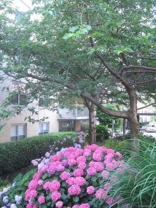 Coop Johnson  Bronx, NY 10463, MLS-878022-18