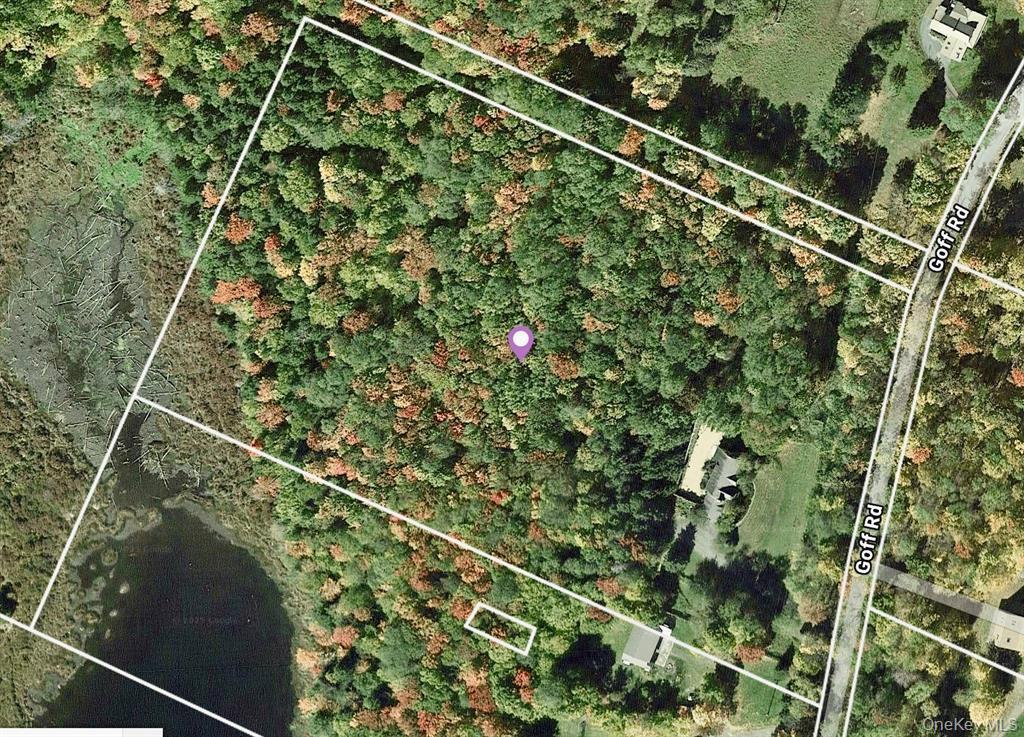 Single Family Goff  Sullivan County, NY 12758, MLS-878059-24