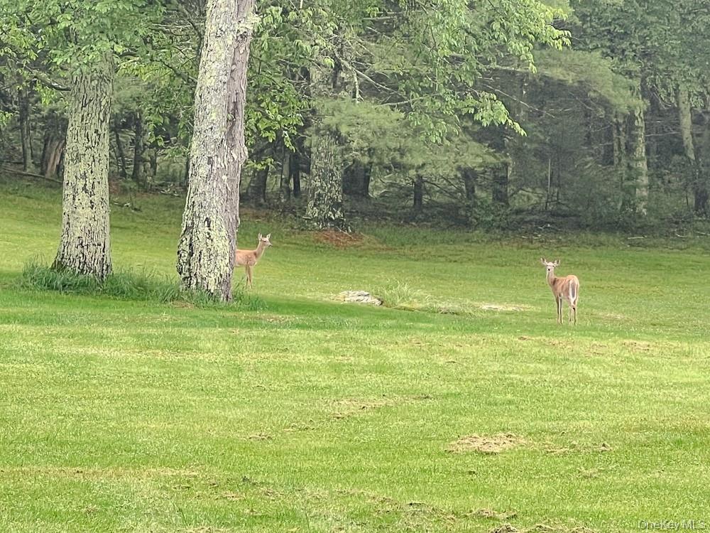 Single Family Old Tacy Sullivan County, NY 12783, MLS-878061-47