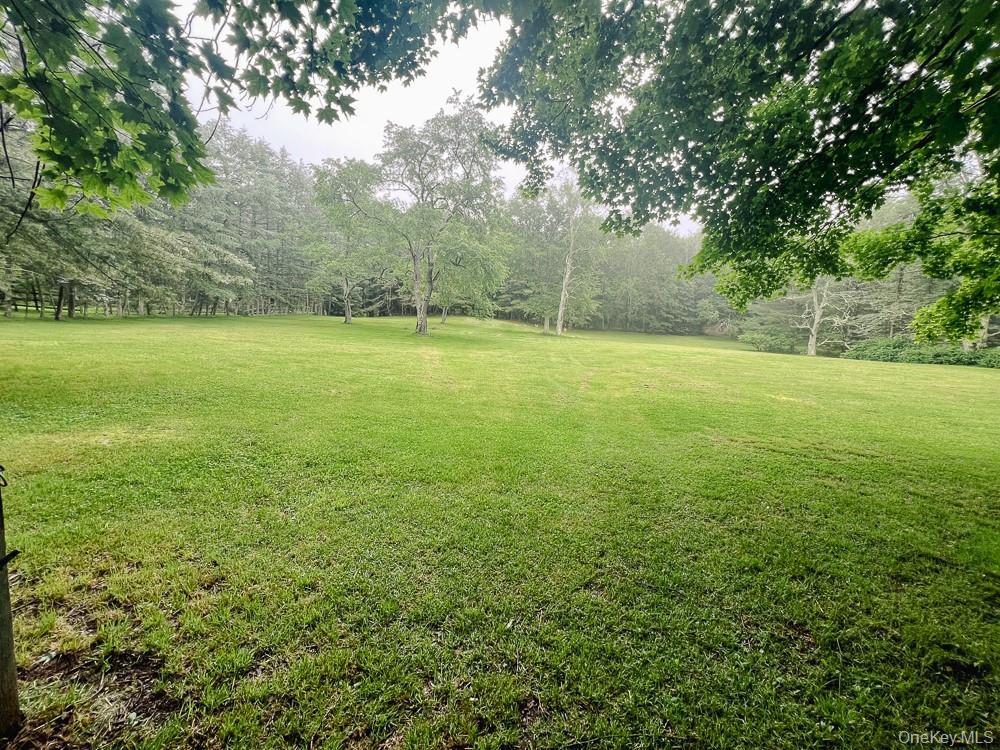 Single Family Old Tacy Sullivan County, NY 12783, MLS-878061-48