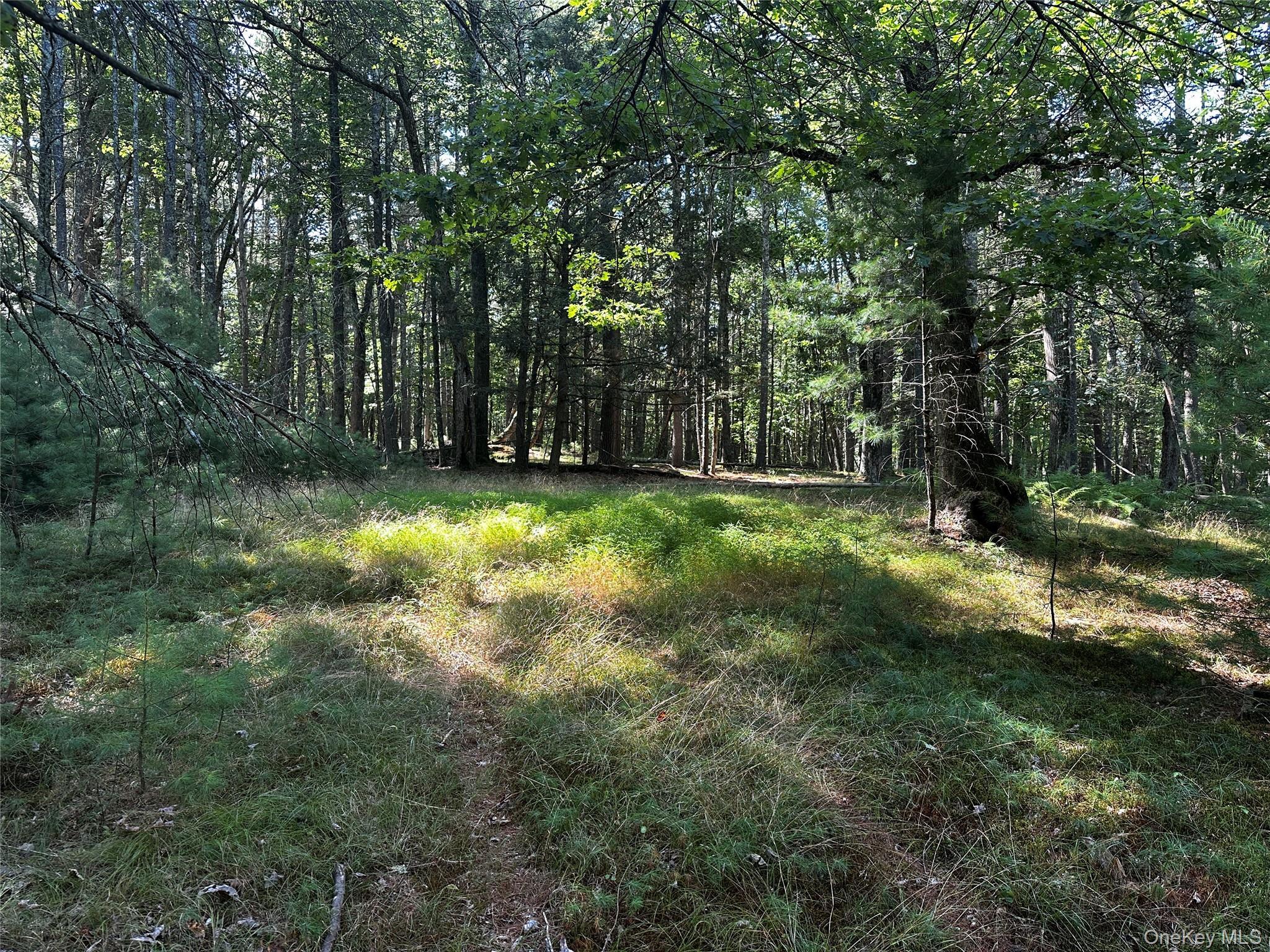 Single Family Kern Sullivan County, NY 12719, MLS-878083-10