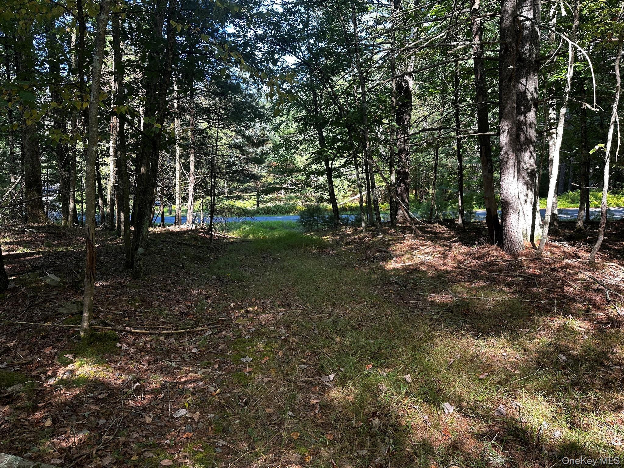 Single Family Kern Sullivan County, NY 12719, MLS-878083-11