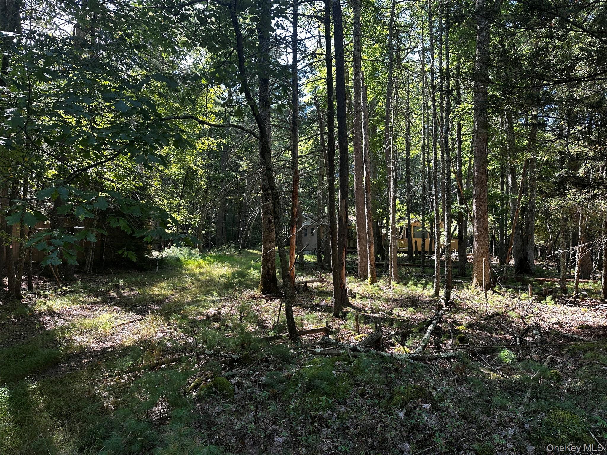 Single Family Kern Sullivan County, NY 12719, MLS-878083-12