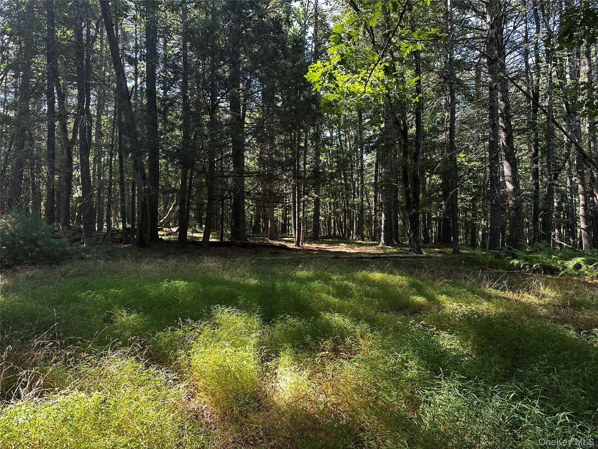 Single Family Kern Sullivan County, NY 12719, MLS-878083-2