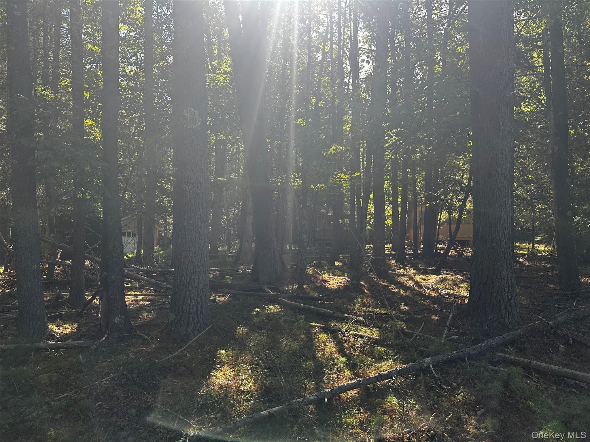 Single Family Kern Sullivan County, NY 12719, MLS-878083-3