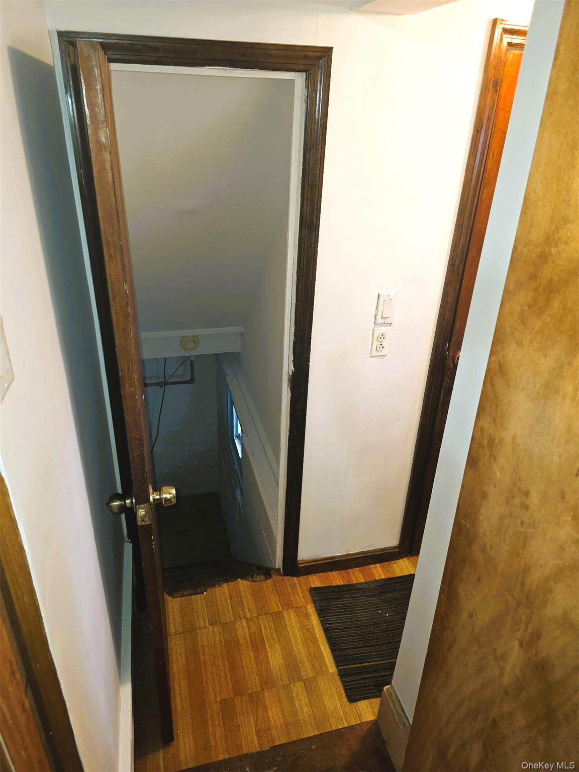 Single Family June Nassau County, NY 11709, MLS-878440-38