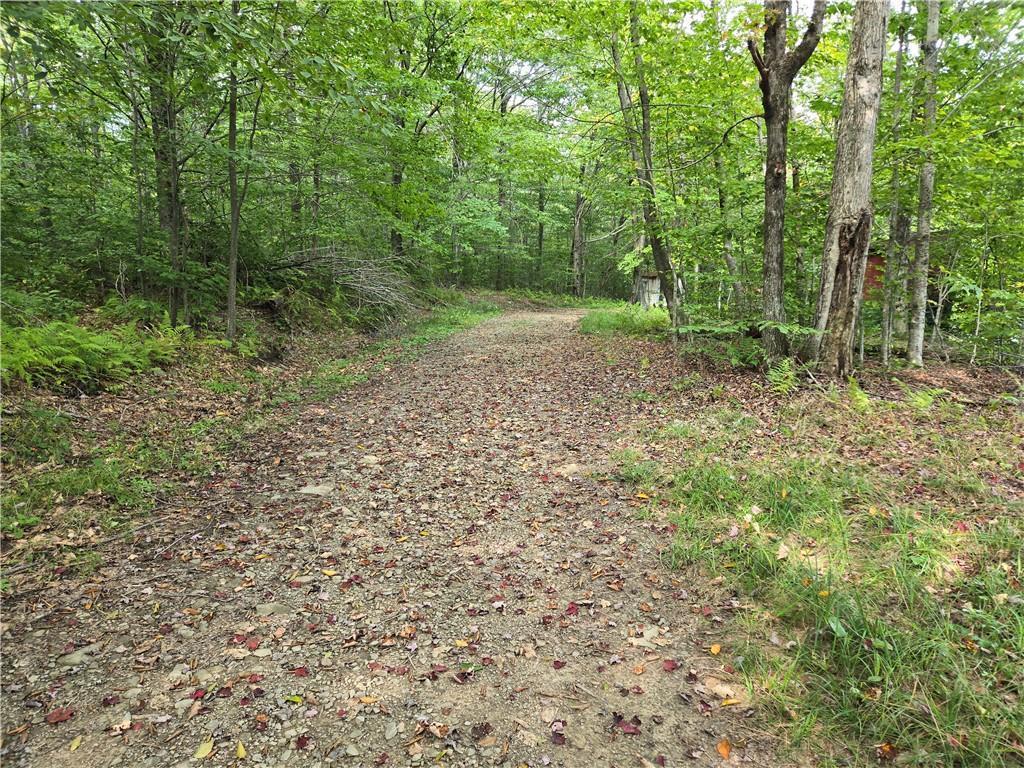 Single Family Dufton Hollow  Delaware County, NY 13783, MLS-878832-11