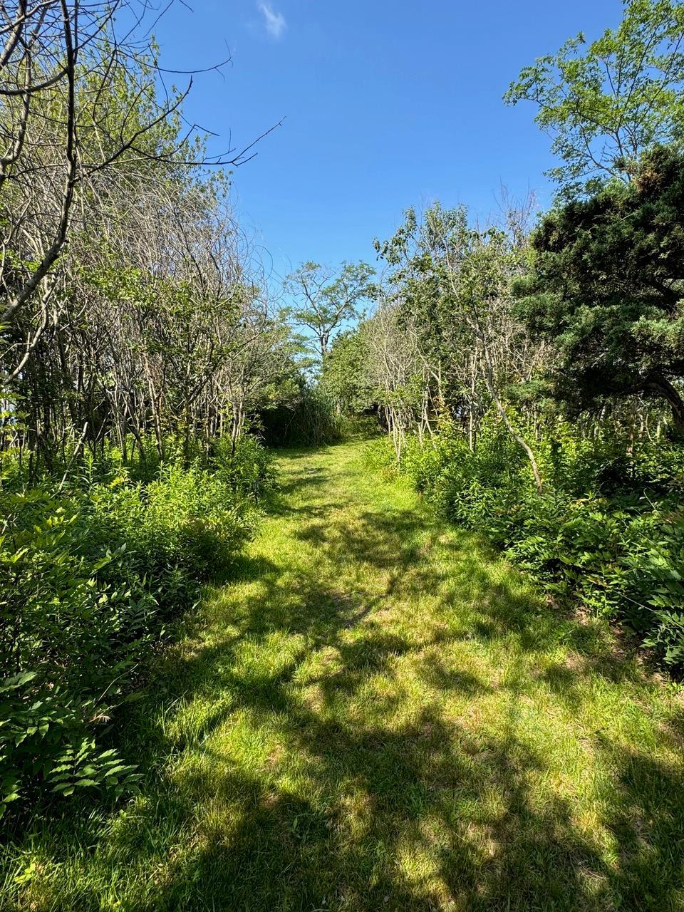 Single Family Old Neck  Suffolk County, NY 11934, MLS-879375-25