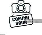 Single Family 107th  Queens, NY 11418, MLS-879772-2