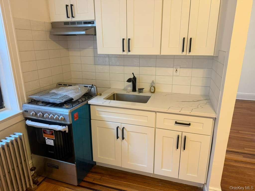 Coop Saunders Queens, NY 11374, MLS-879831-6