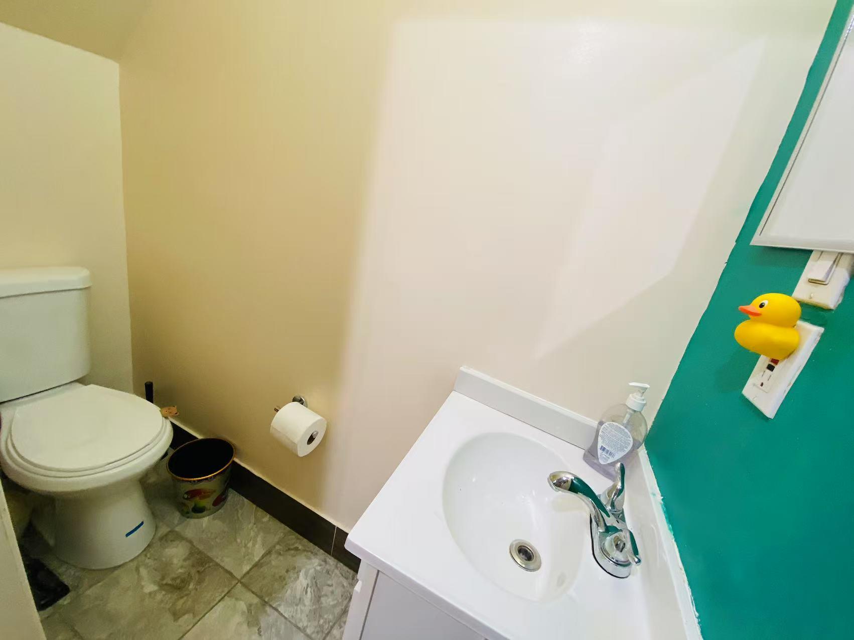 Single Family 126  Queens, NY 11419, MLS-879887-12