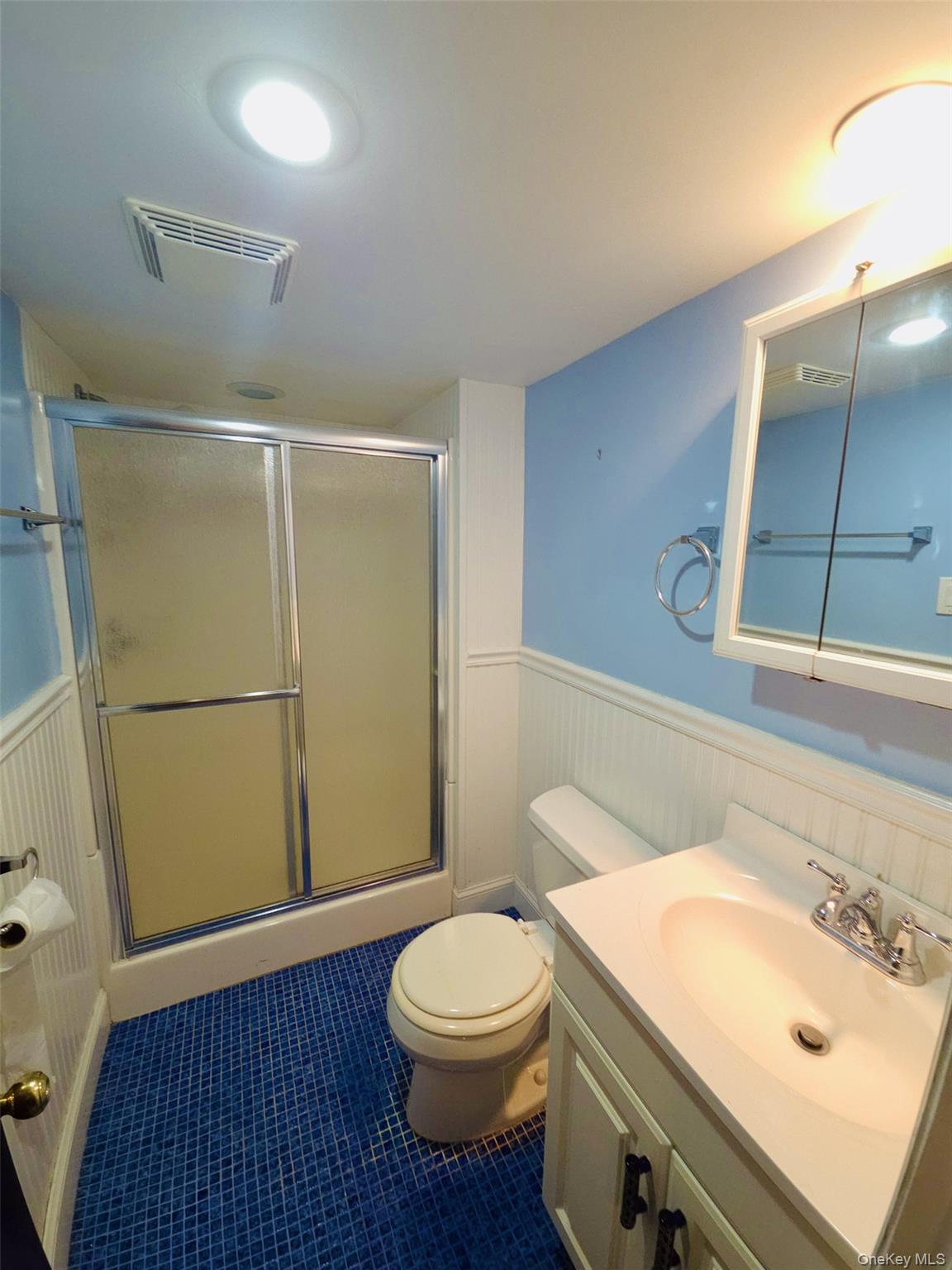 Single Family 1st  Nassau County, NY 11040, MLS-879891-34