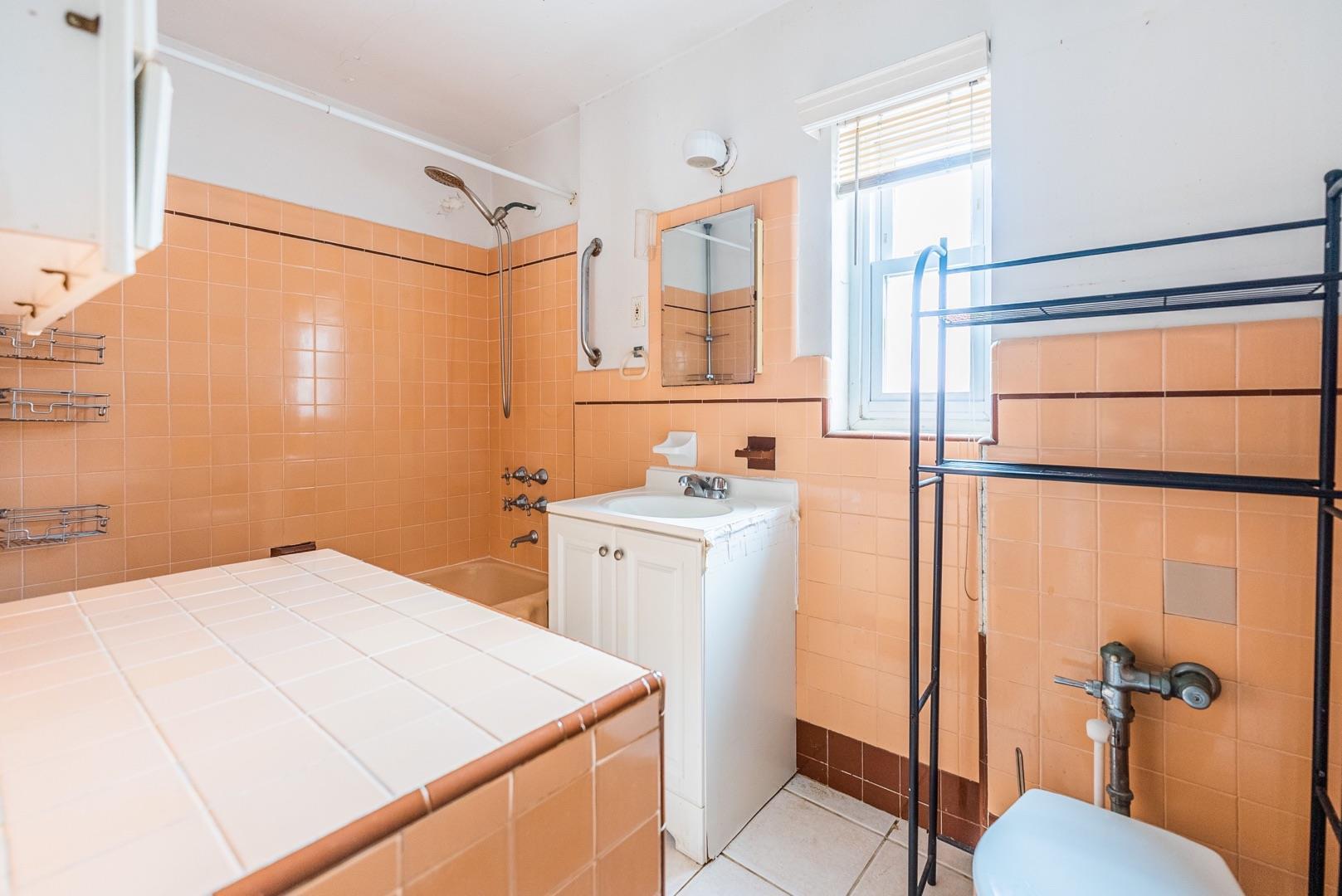 Single Family Fitchett  Queens, NY 11374, MLS-880000-14