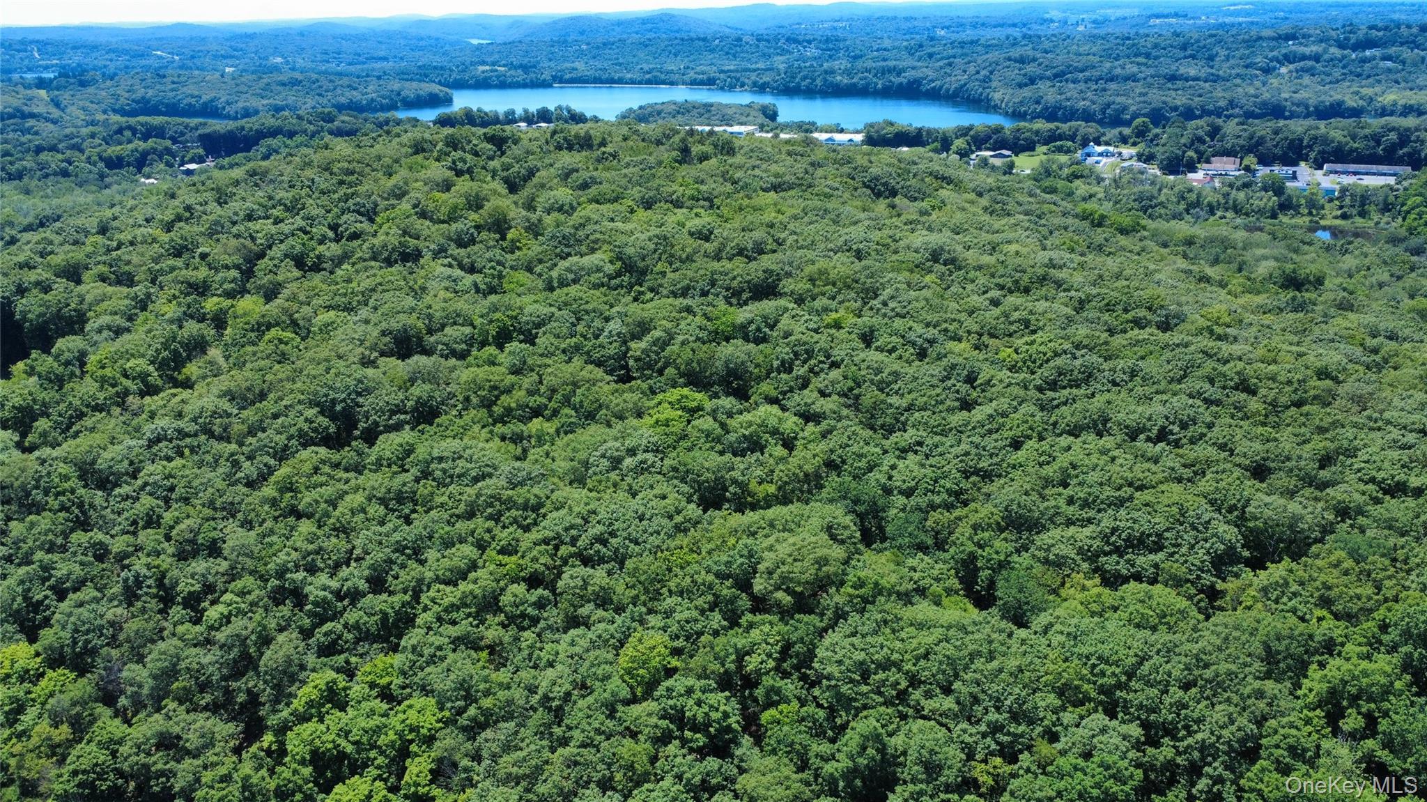 Single Family Scenic Ridge Putnam County, NY 10509, MLS-880098-45