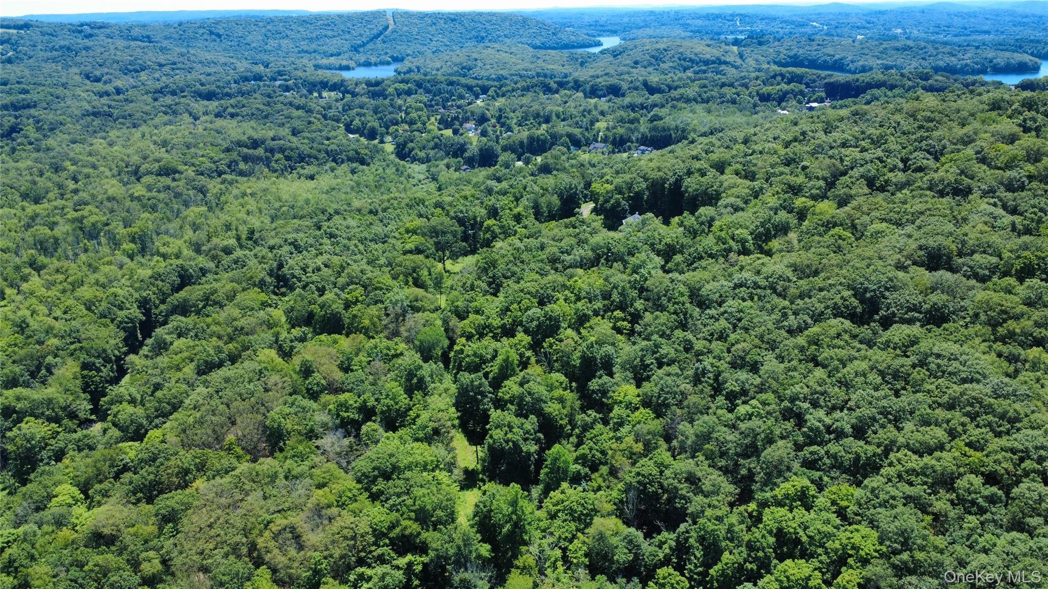 Single Family Scenic Ridge Putnam County, NY 10509, MLS-880098-46