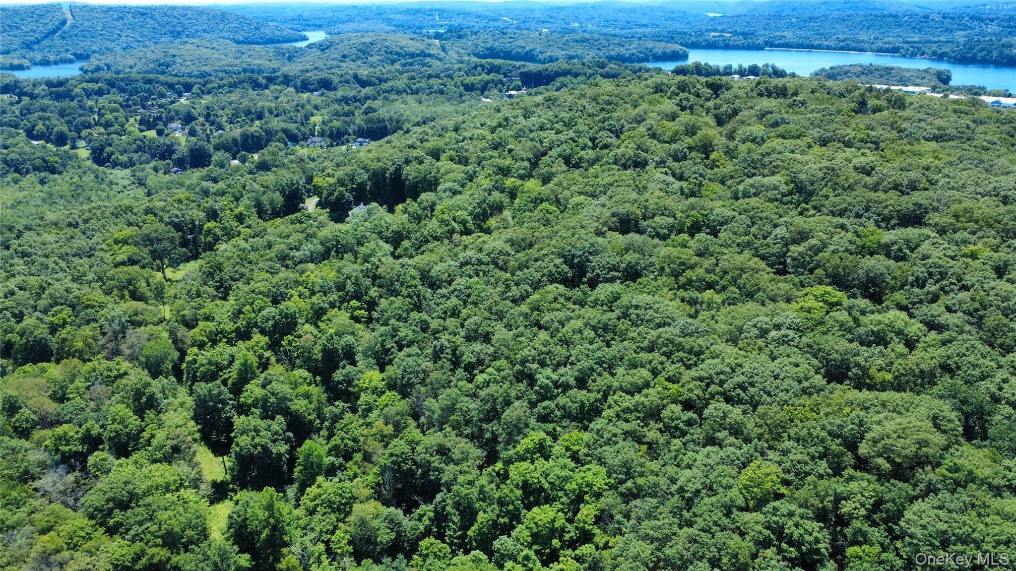 Single Family Scenic Ridge Putnam County, NY 10509, MLS-880098-48