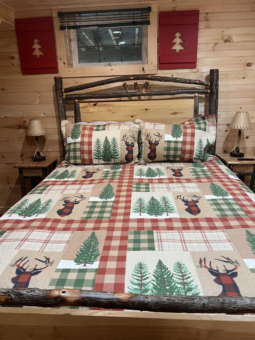 Single Family Chiloway Delaware County, NY 13856, MLS-880194-14