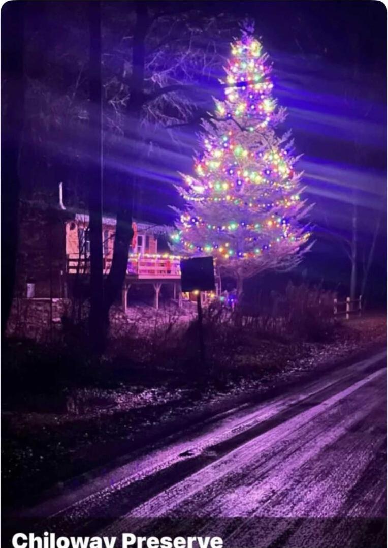 Single Family Chiloway Delaware County, NY 13856, MLS-880194-8