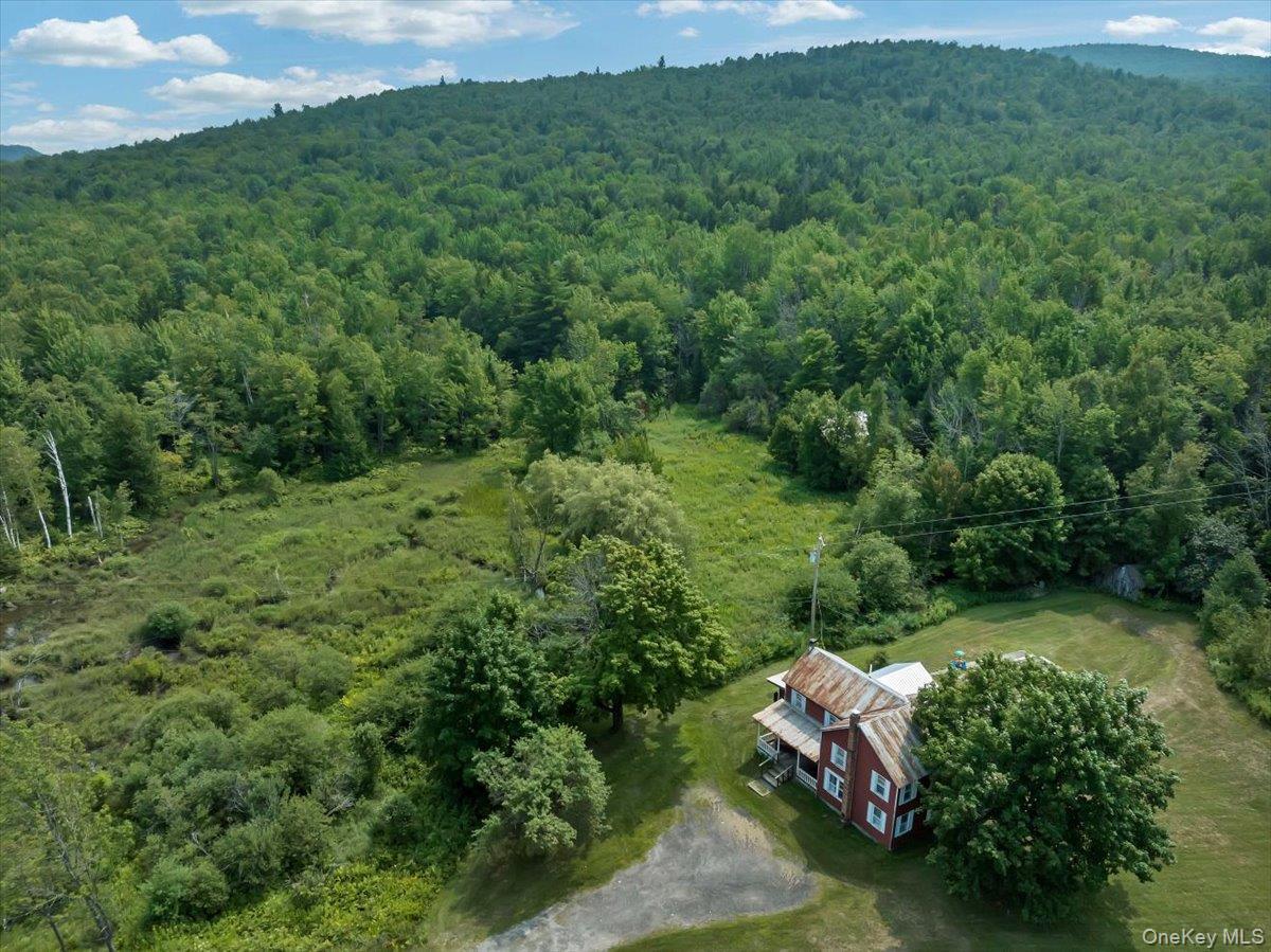 Single Family State Route 8  Out Of Area, NY 12843, MLS-880280-40