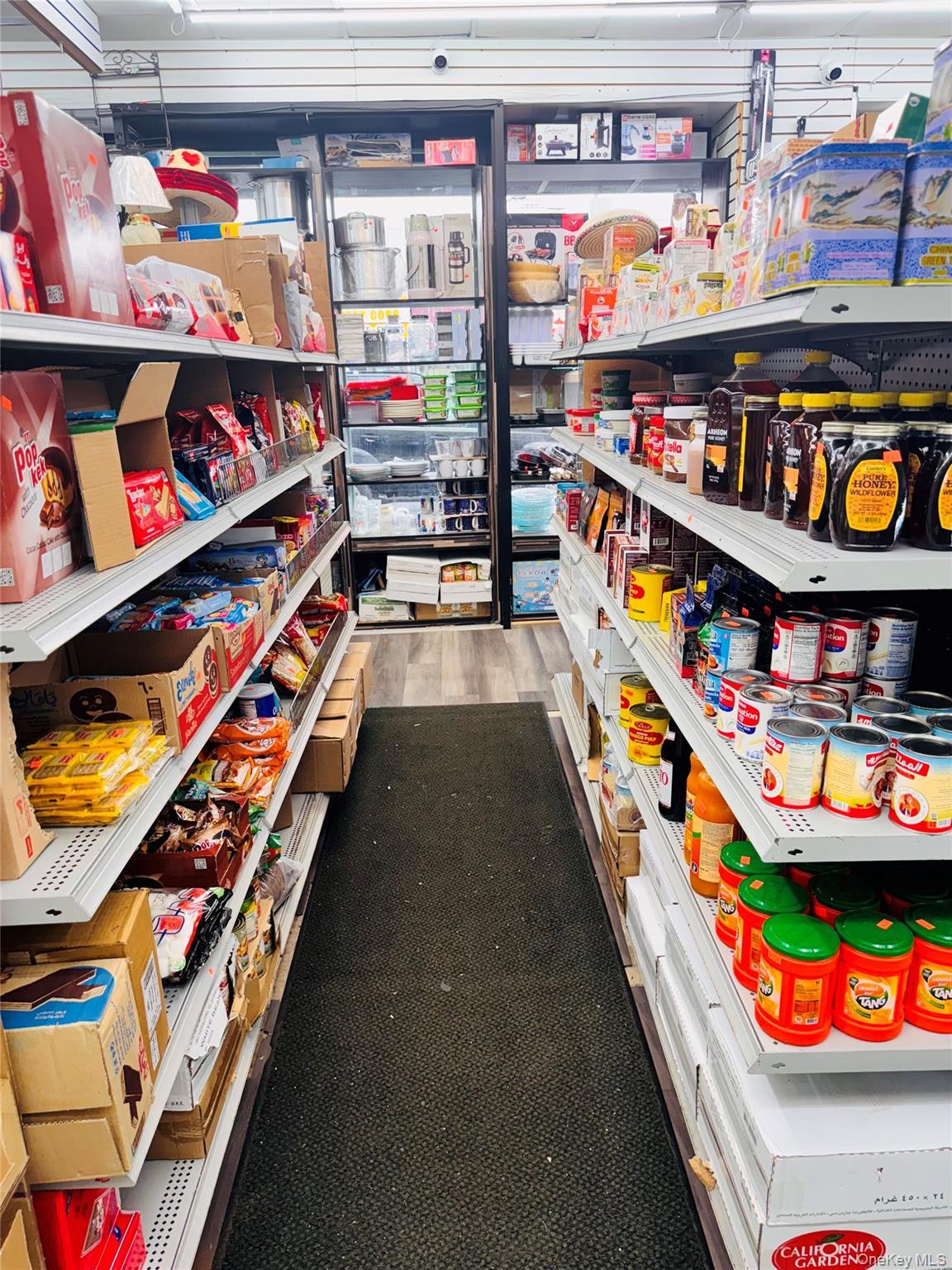 Business Opportunity Allerton Ave  Bronx, NY 10467, MLS-880366-12