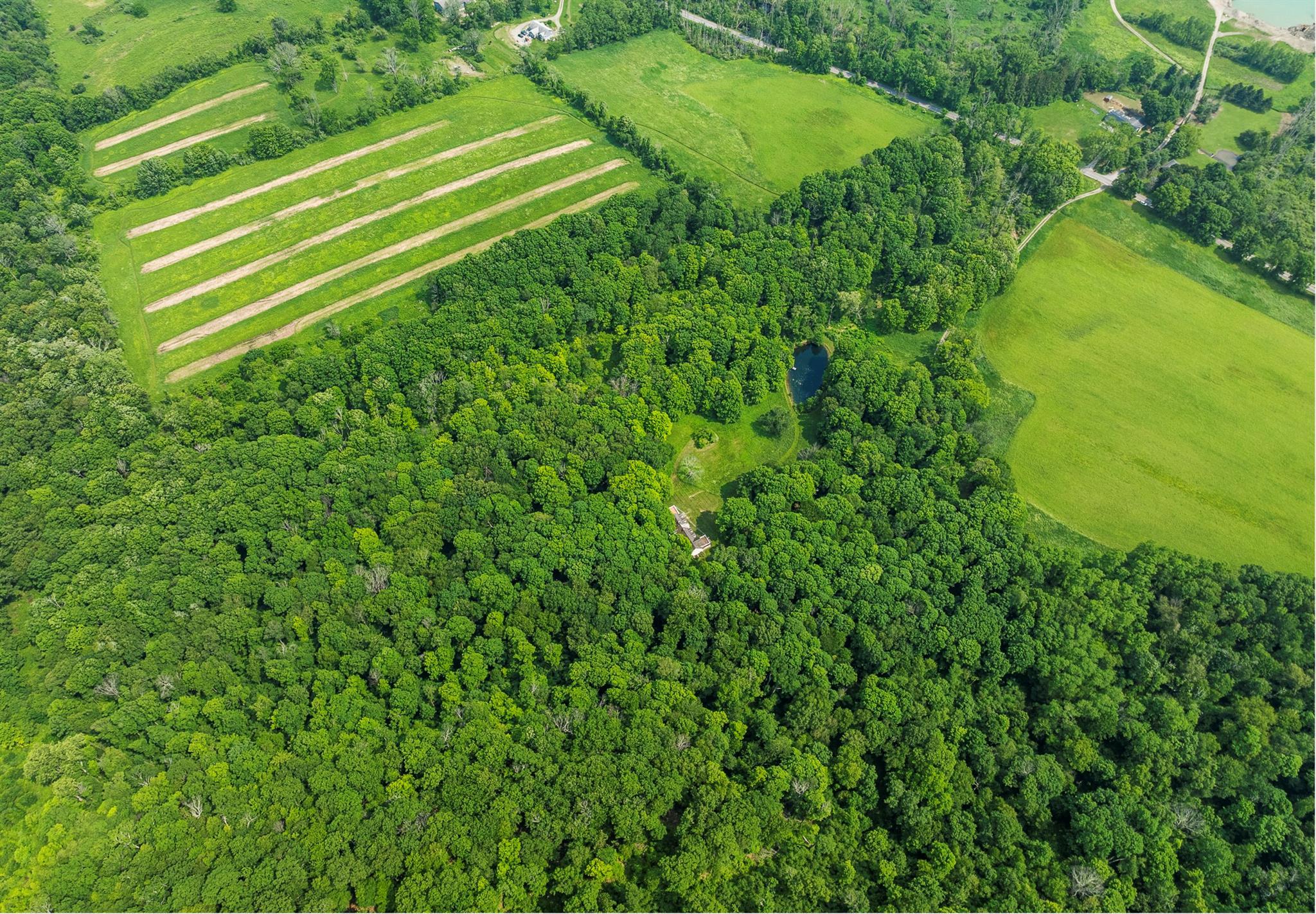 Single Family Clove  Dutchess County, NY 12545, MLS-880382-8