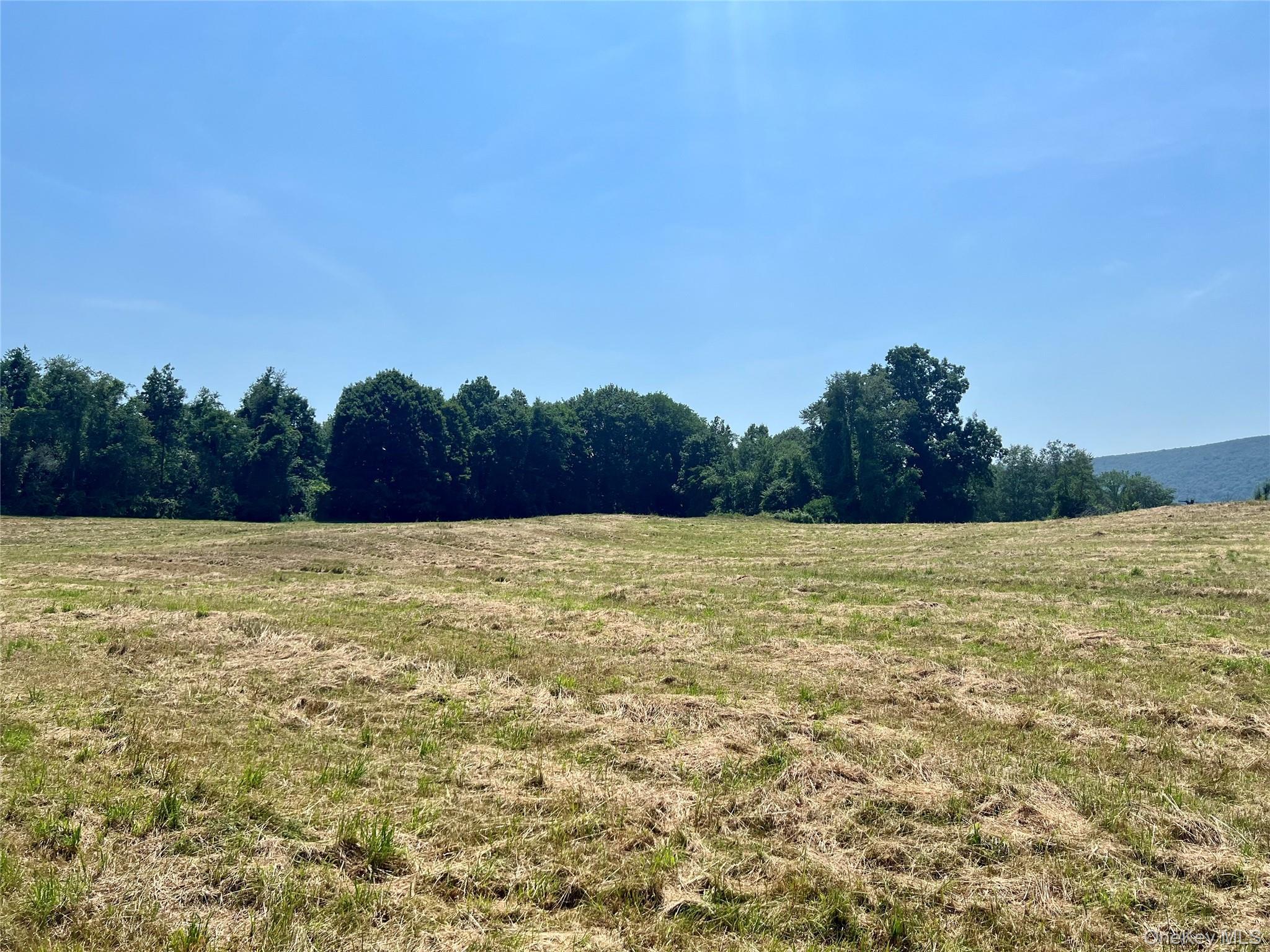 Single Family Route 82 Dutchess County, NY 12567, MLS-880499-30