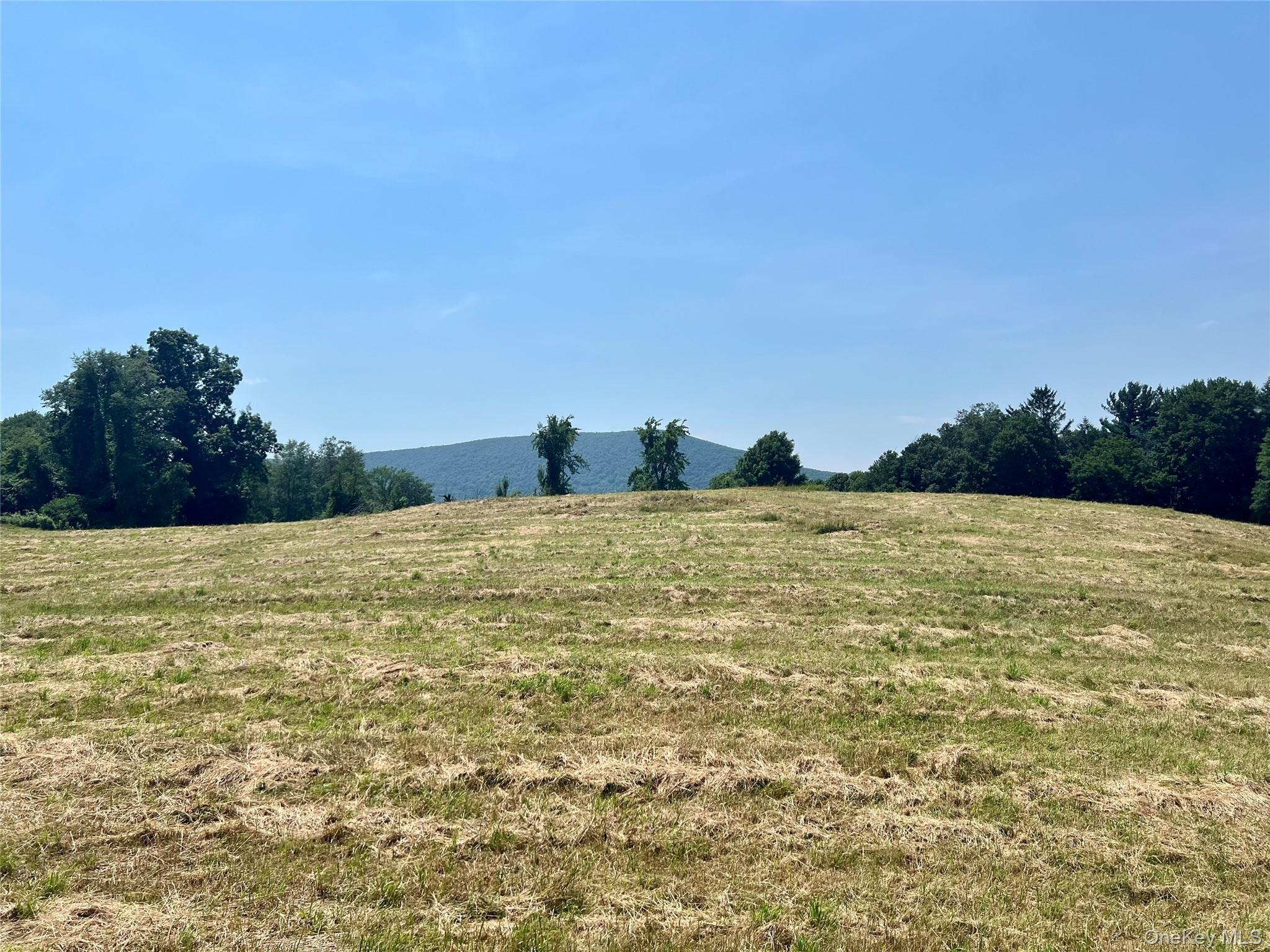 Single Family Route 82 Dutchess County, NY 12567, MLS-880499-33