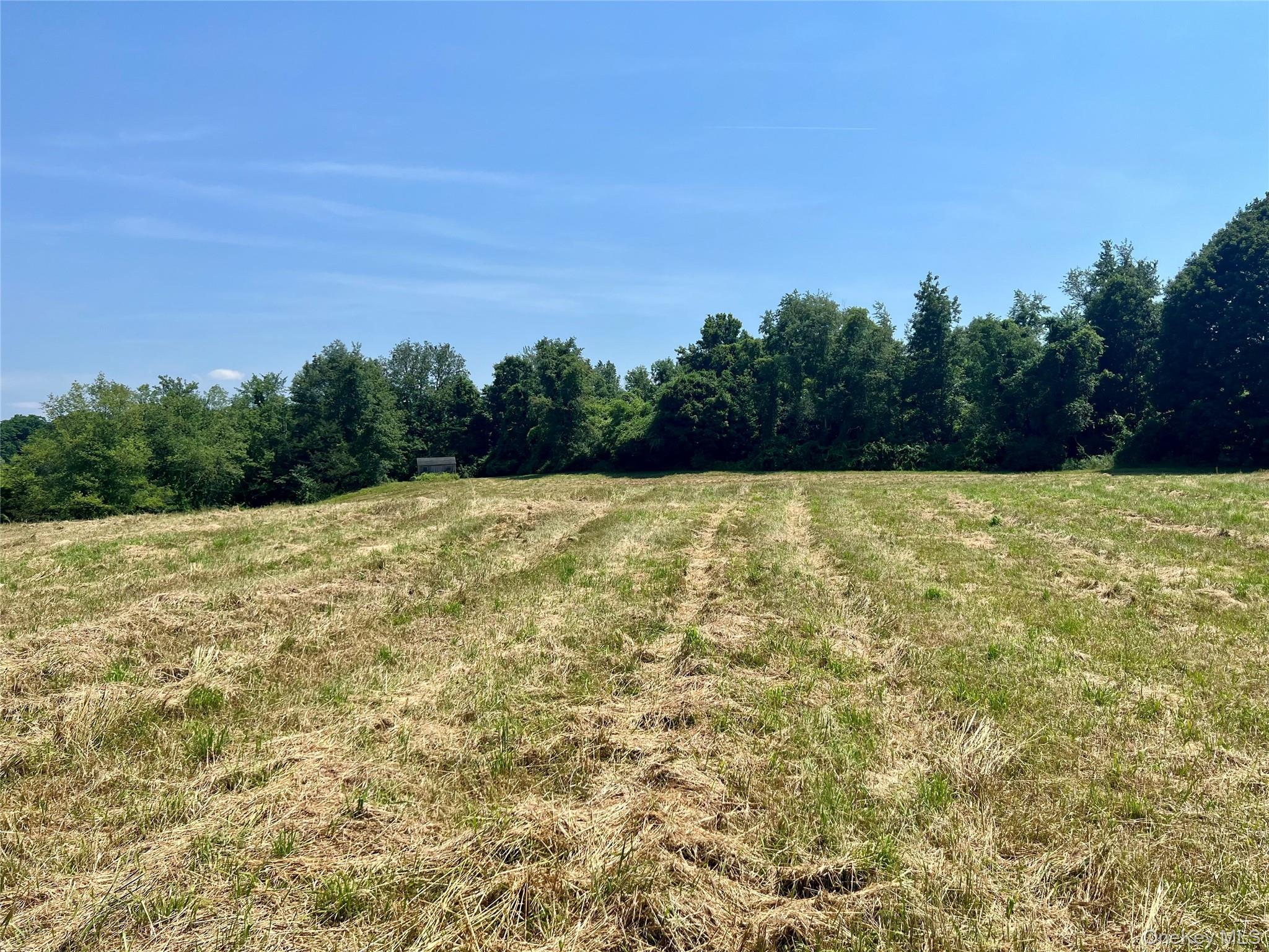 Single Family Route 82 Dutchess County, NY 12567, MLS-880499-34