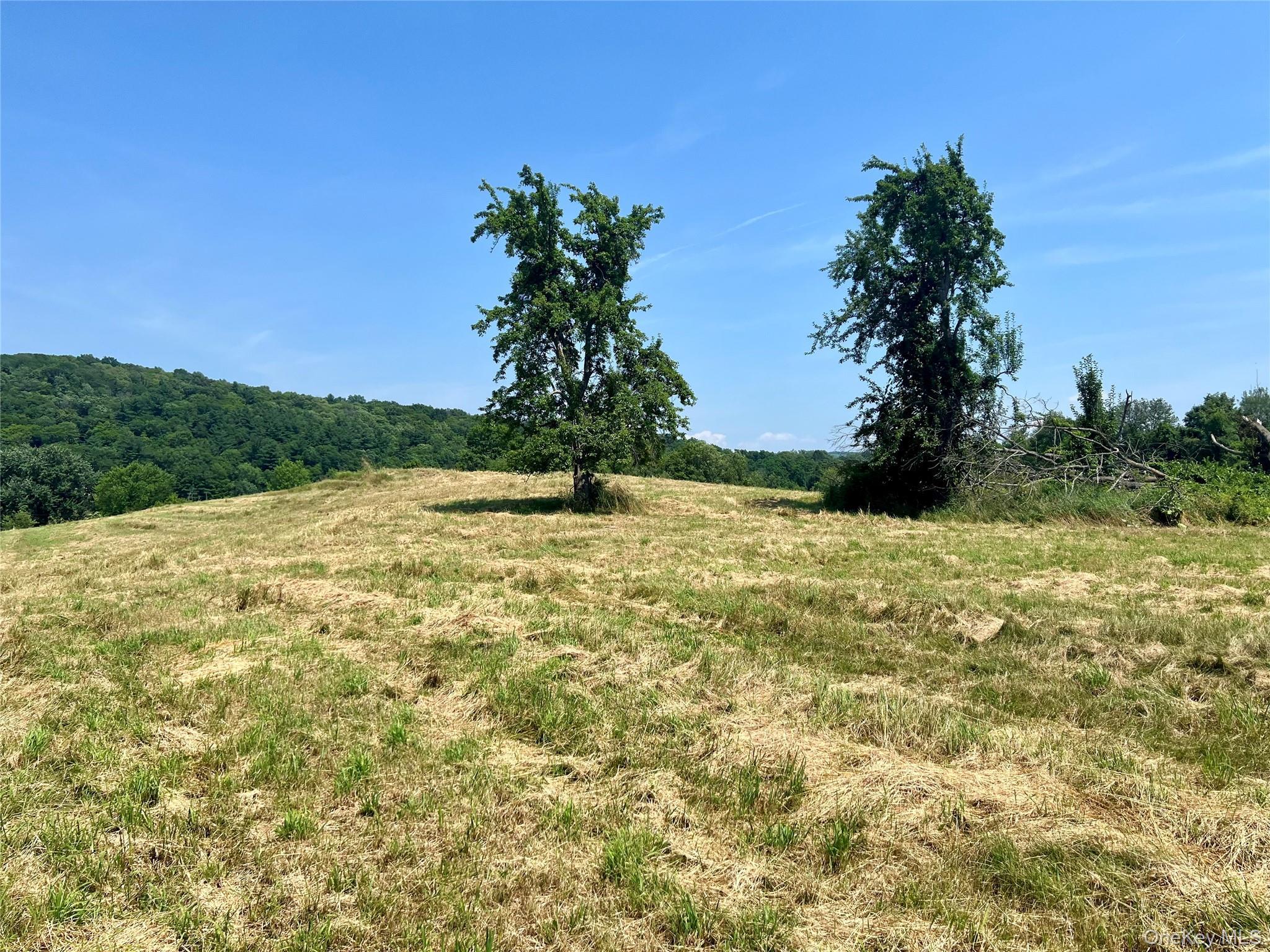 Single Family Route 82 Dutchess County, NY 12567, MLS-880499-36
