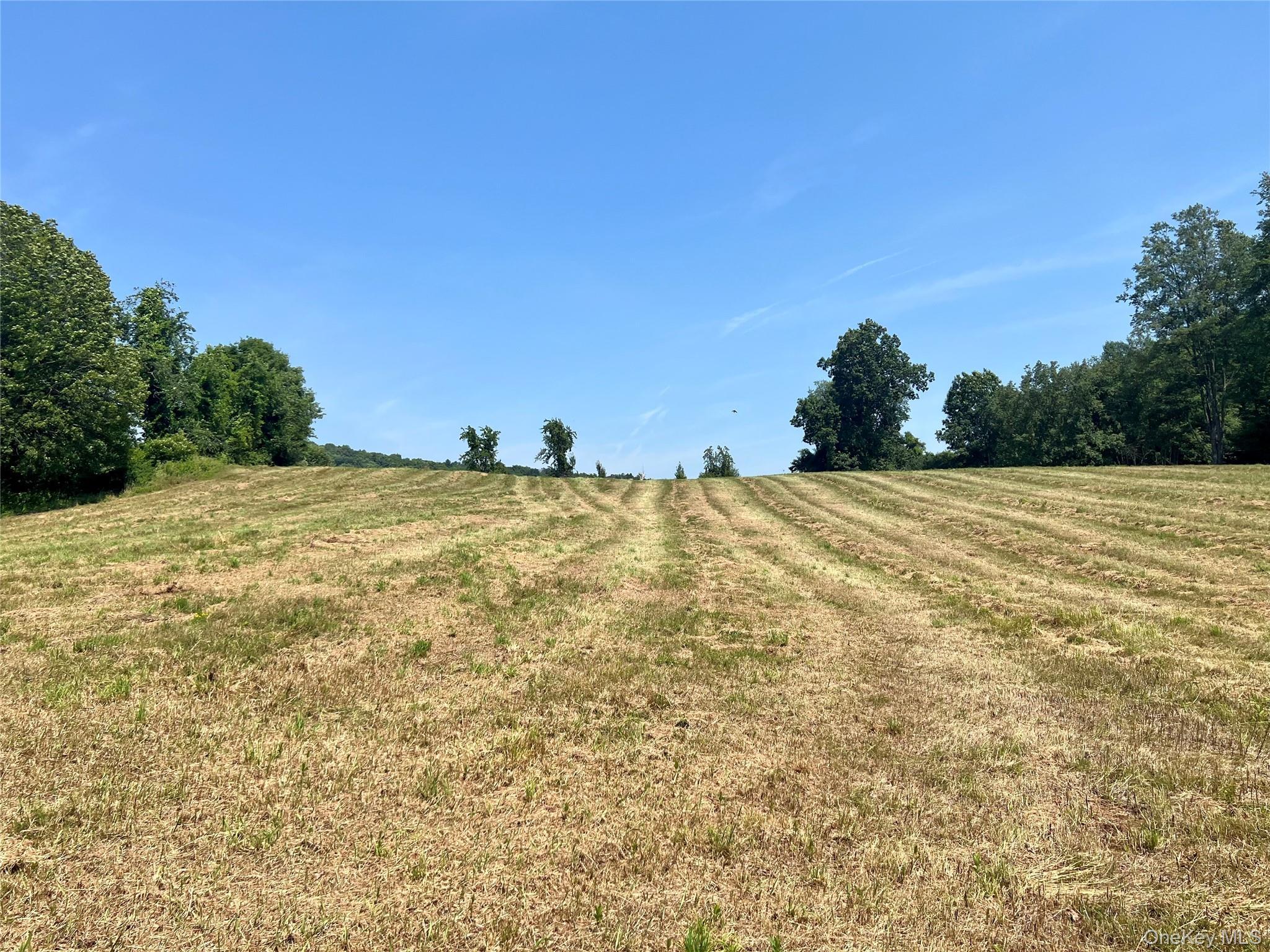 Single Family Route 82 Dutchess County, NY 12567, MLS-880499-38