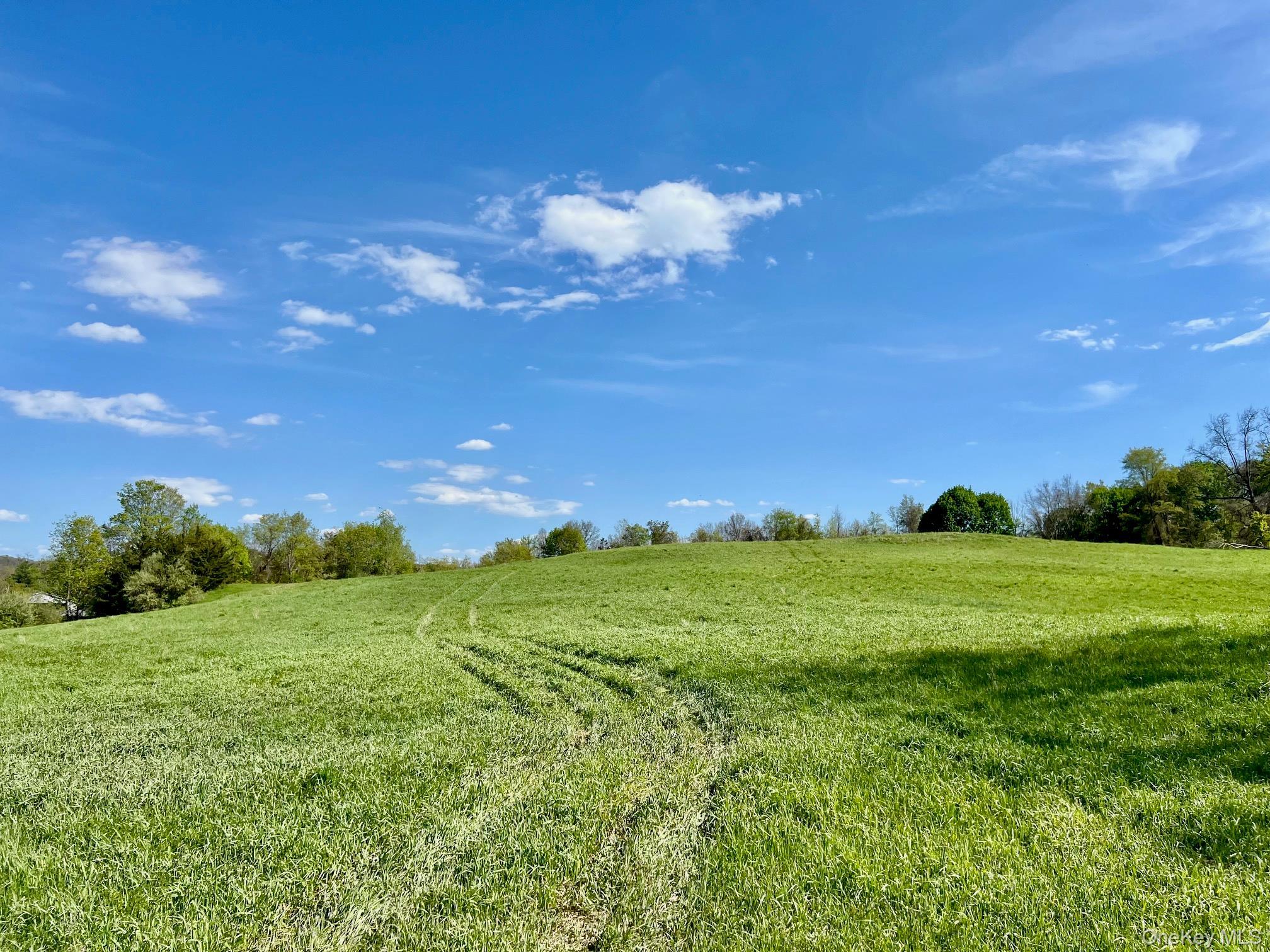Single Family Route 82 Dutchess County, NY 12567, MLS-880499-41