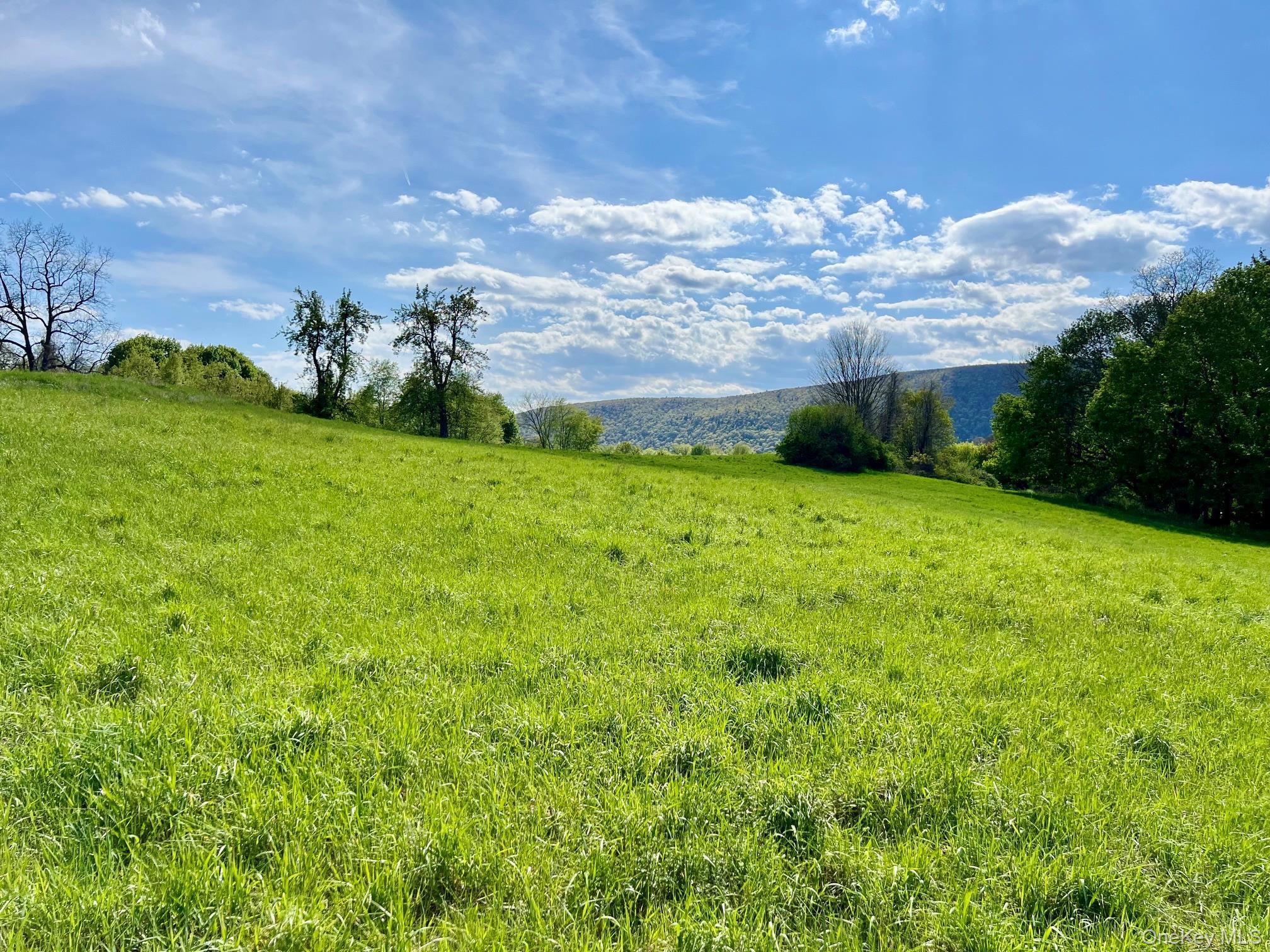 Single Family Route 82 Dutchess County, NY 12567, MLS-880499-42
