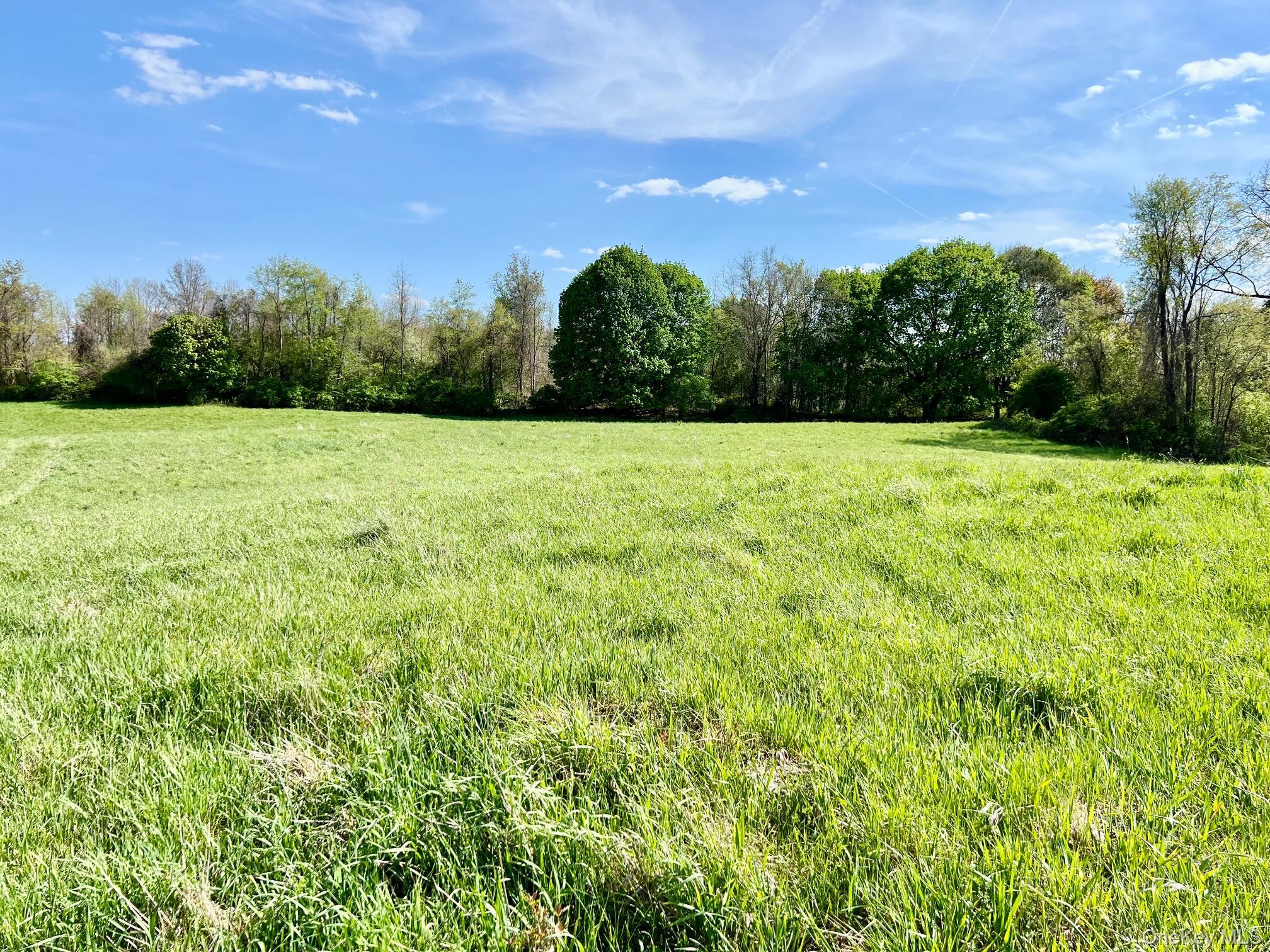 Single Family Route 82 Dutchess County, NY 12567, MLS-880499-43