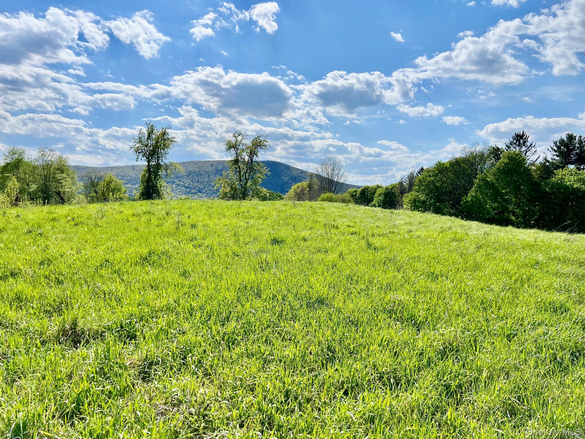 Single Family Route 82 Dutchess County, NY 12567, MLS-880499-44