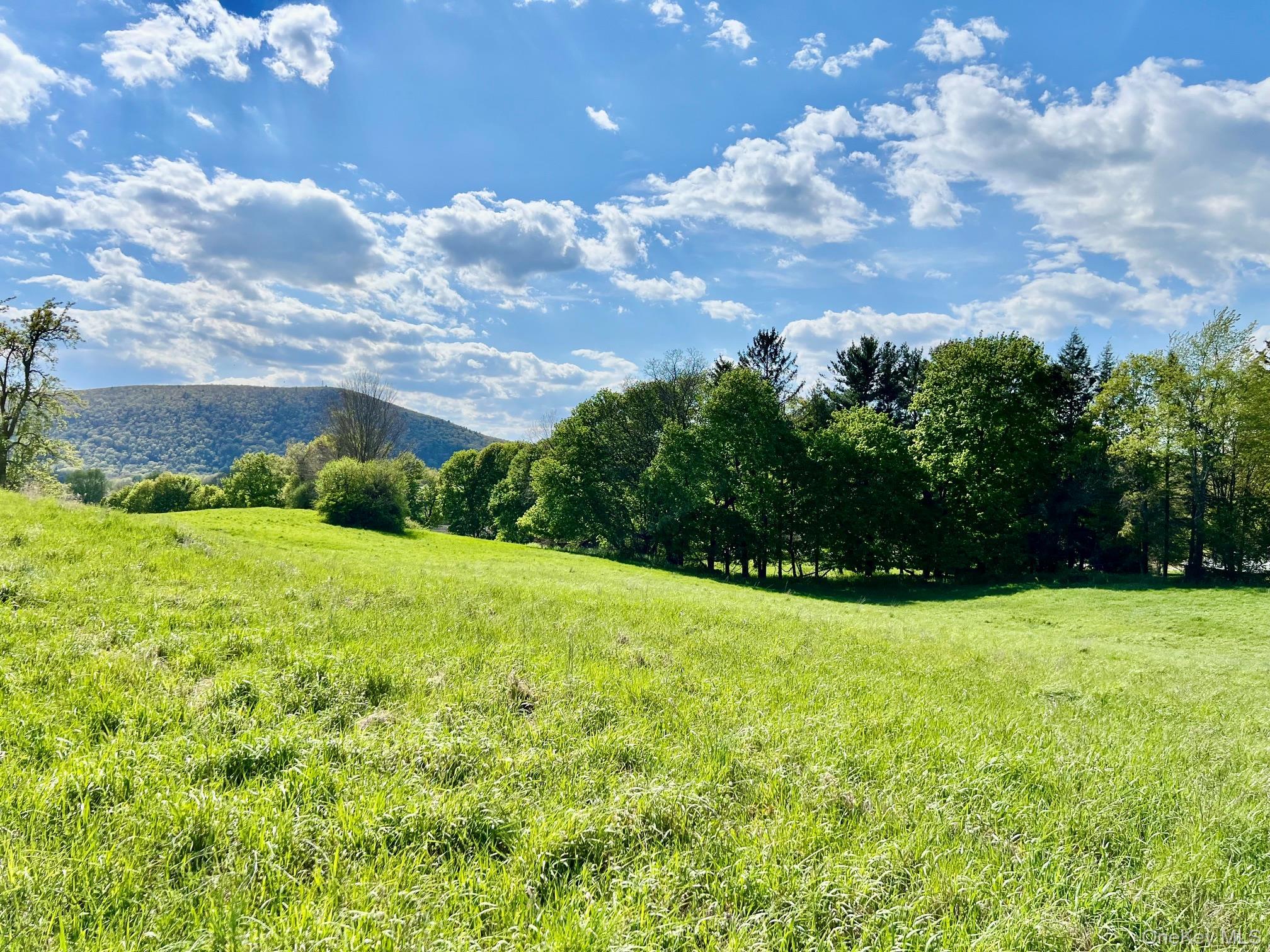 Single Family Route 82  Dutchess County, NY 12567, MLS-880499-45