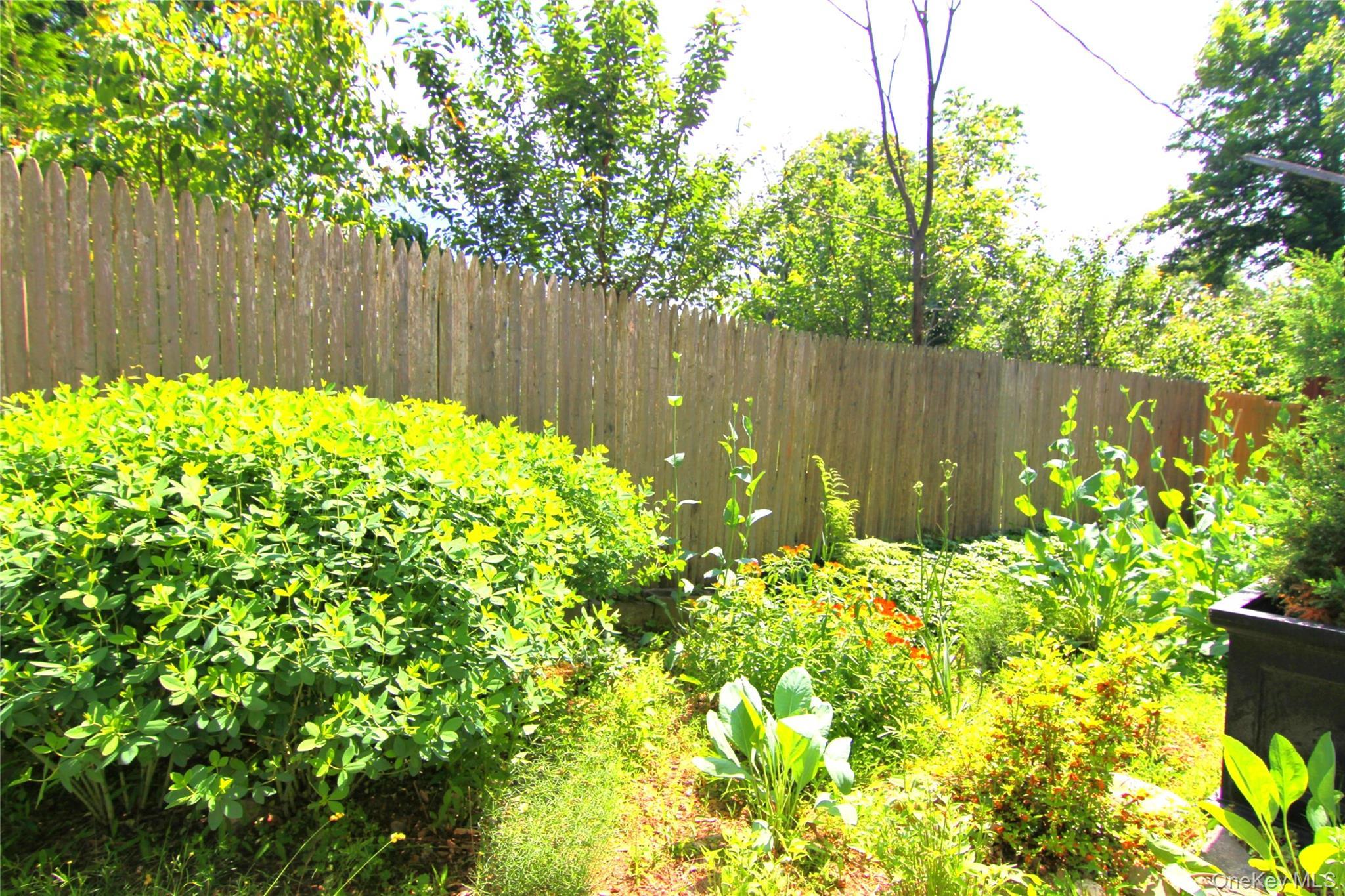 Coop Lexington  Westchester County, NY 10567, MLS-880547-5