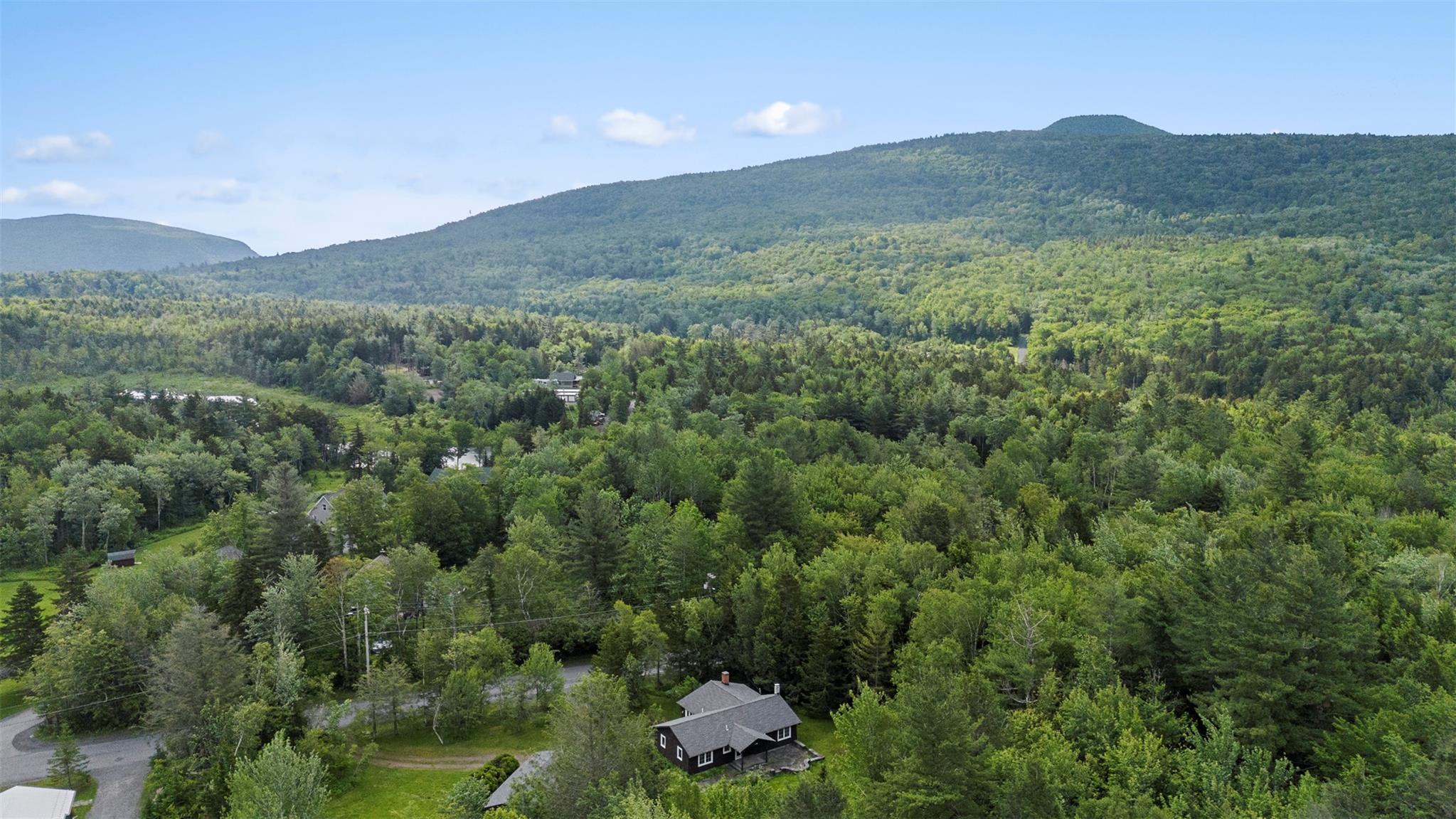 Single Family Clum Hill  Greene County, NY 12442, MLS-880554-3