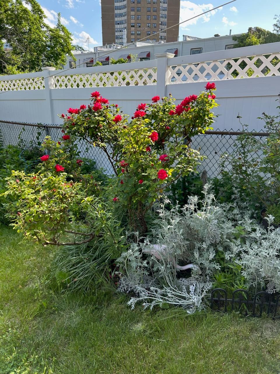 Single Family Neptune  Brooklyn, NY 11224, MLS-880660-10