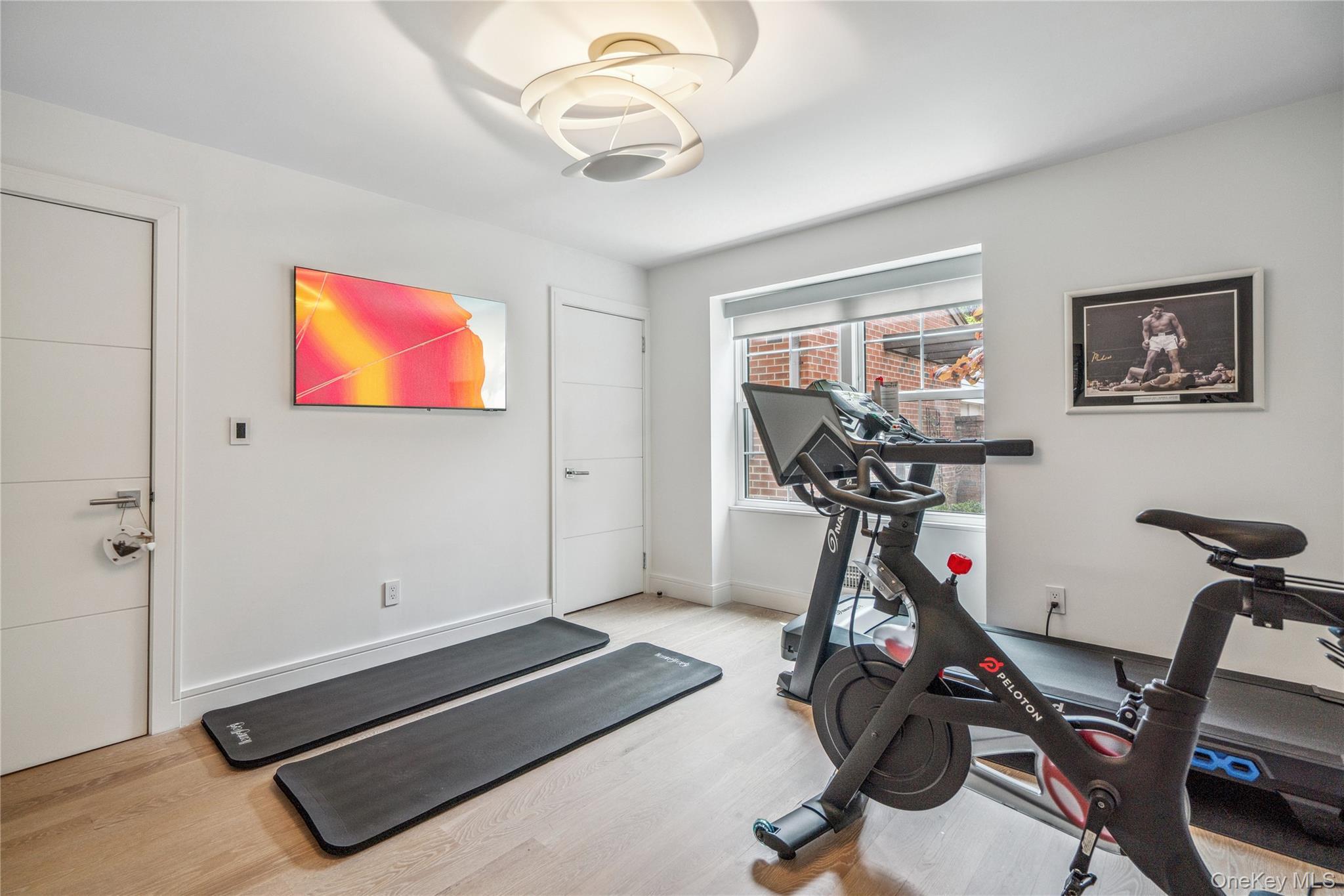 Condo Estates  Nassau County, NY 11030, MLS-880729-11