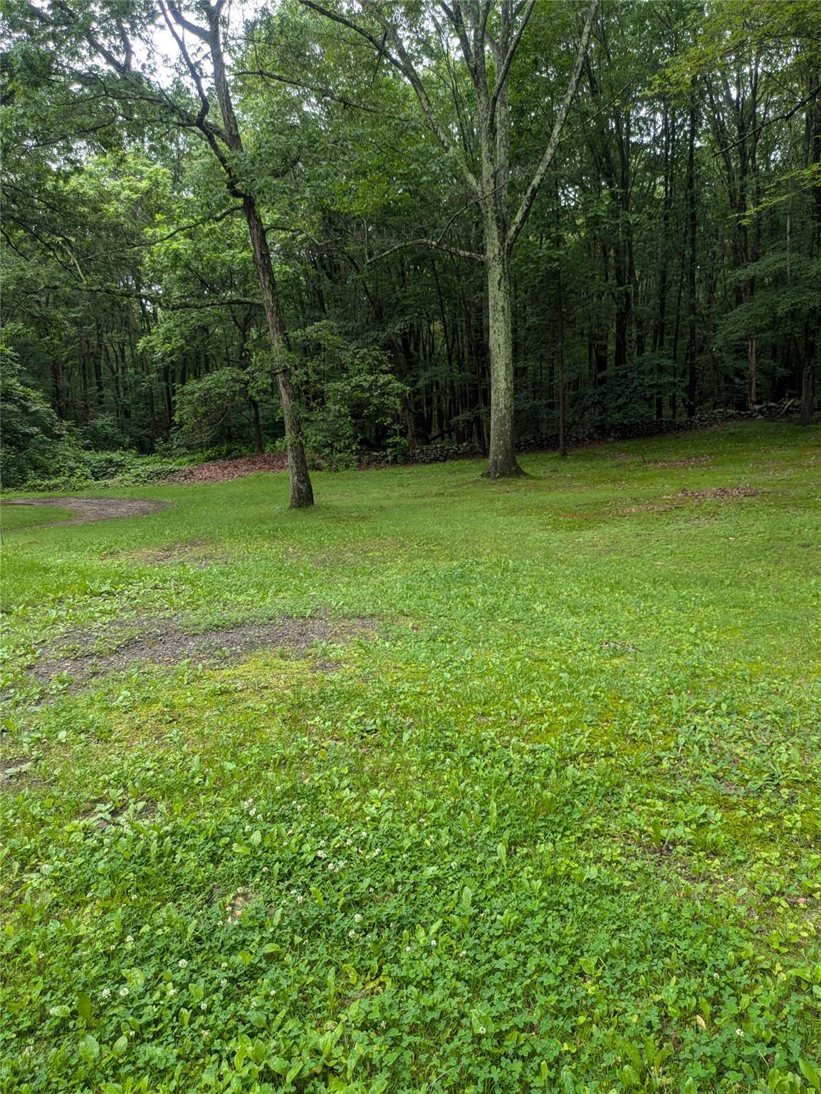 Single Family Delilah  Ulster County, NY 12589, MLS-880782-10
