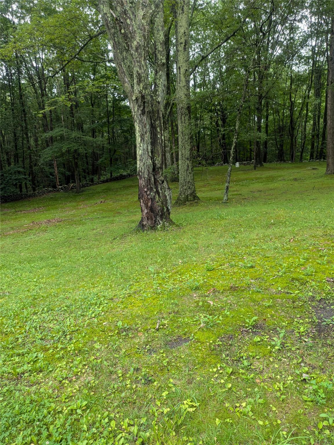 Single Family Delilah  Ulster County, NY 12589, MLS-880782-11