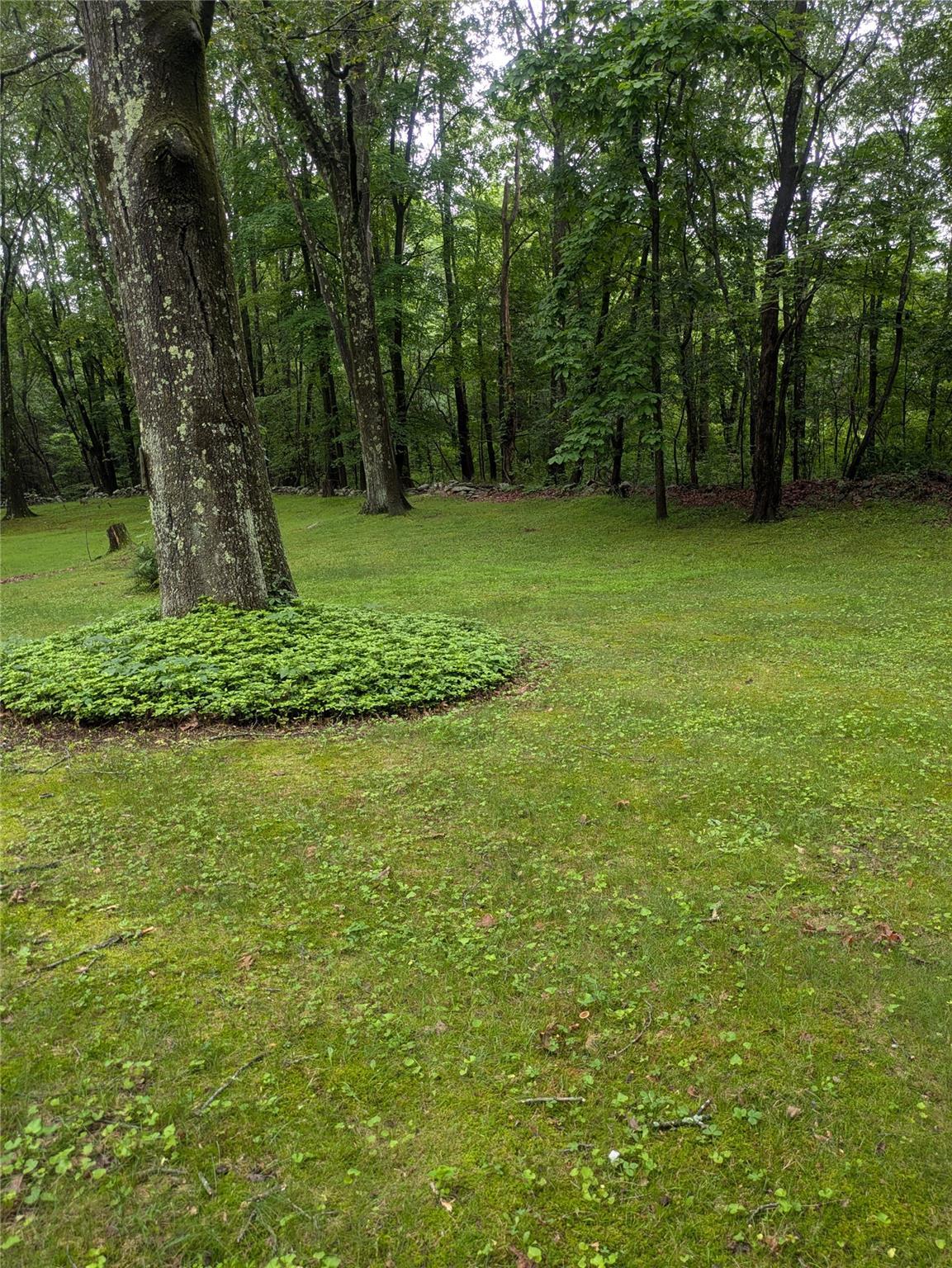 Single Family Delilah  Ulster County, NY 12589, MLS-880782-7