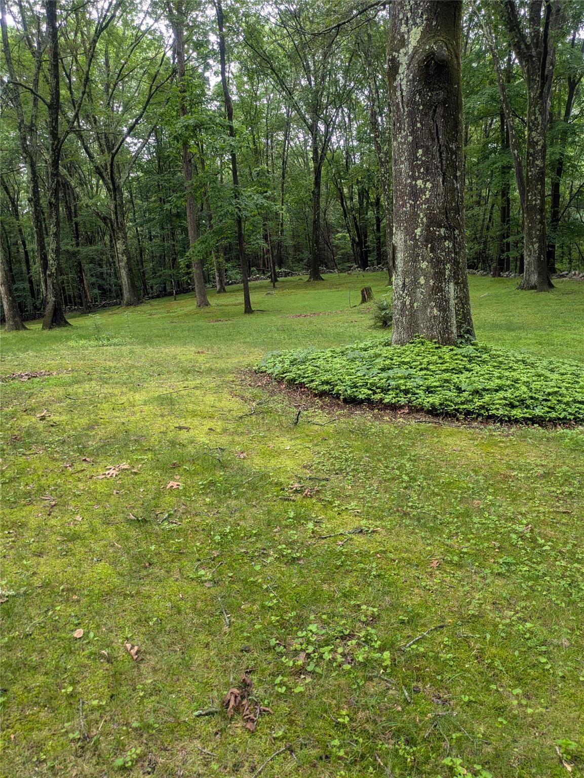 Single Family Delilah  Ulster County, NY 12589, MLS-880782-8