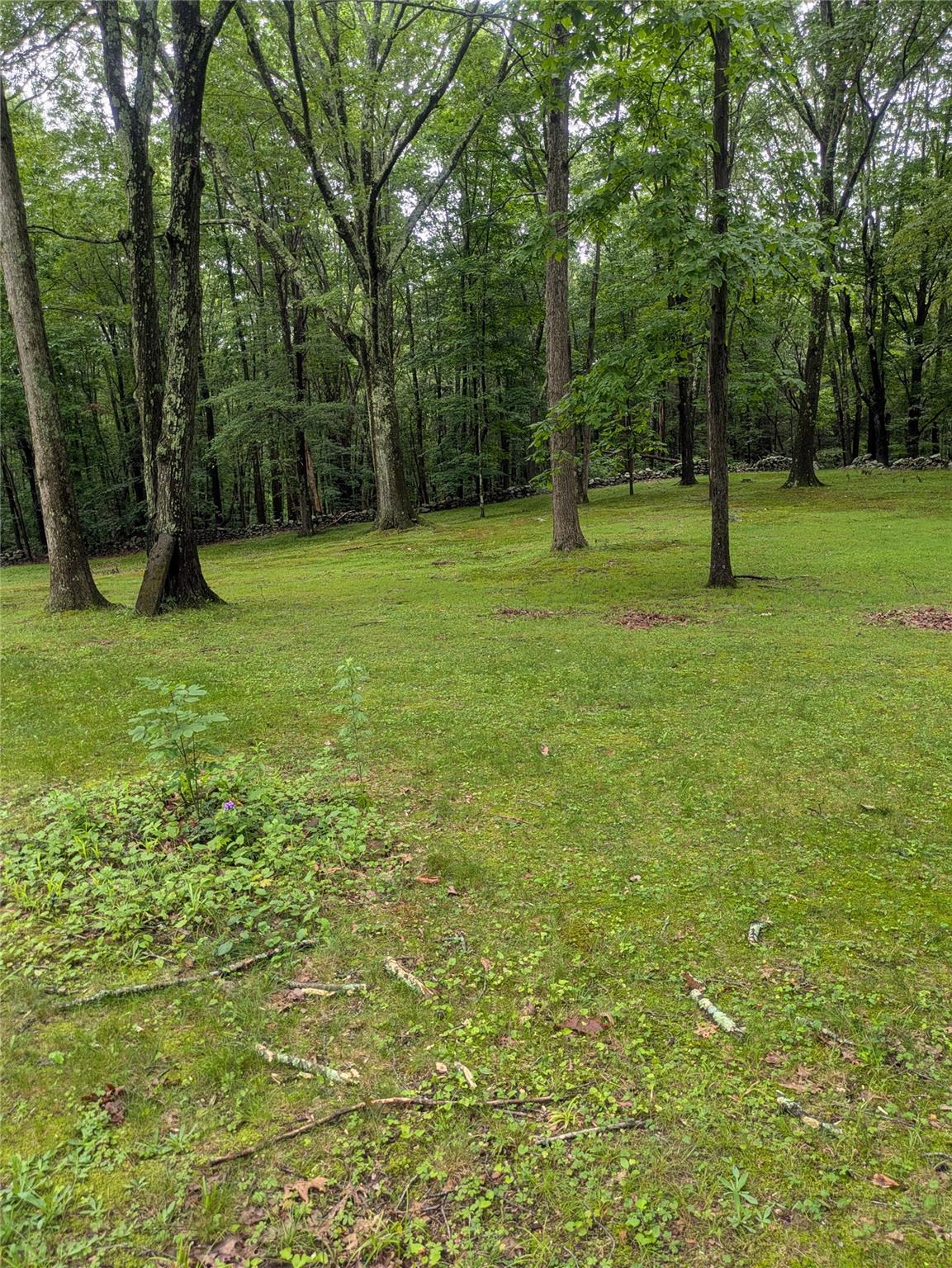 Single Family Delilah  Ulster County, NY 12589, MLS-880782-9