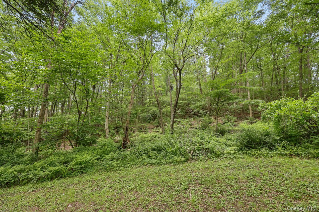 Single Family Hortontown  Putnam County, NY 10512, MLS-880801-26