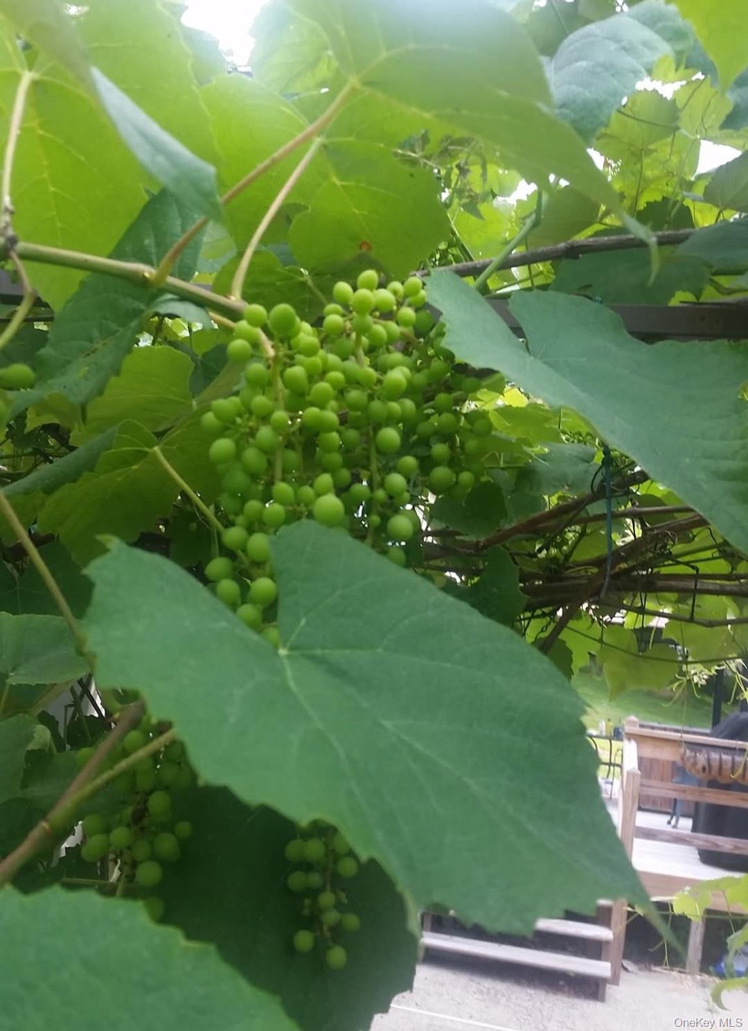 Single Family Bull Mill  Orange County, NY 10918, MLS-880804-28