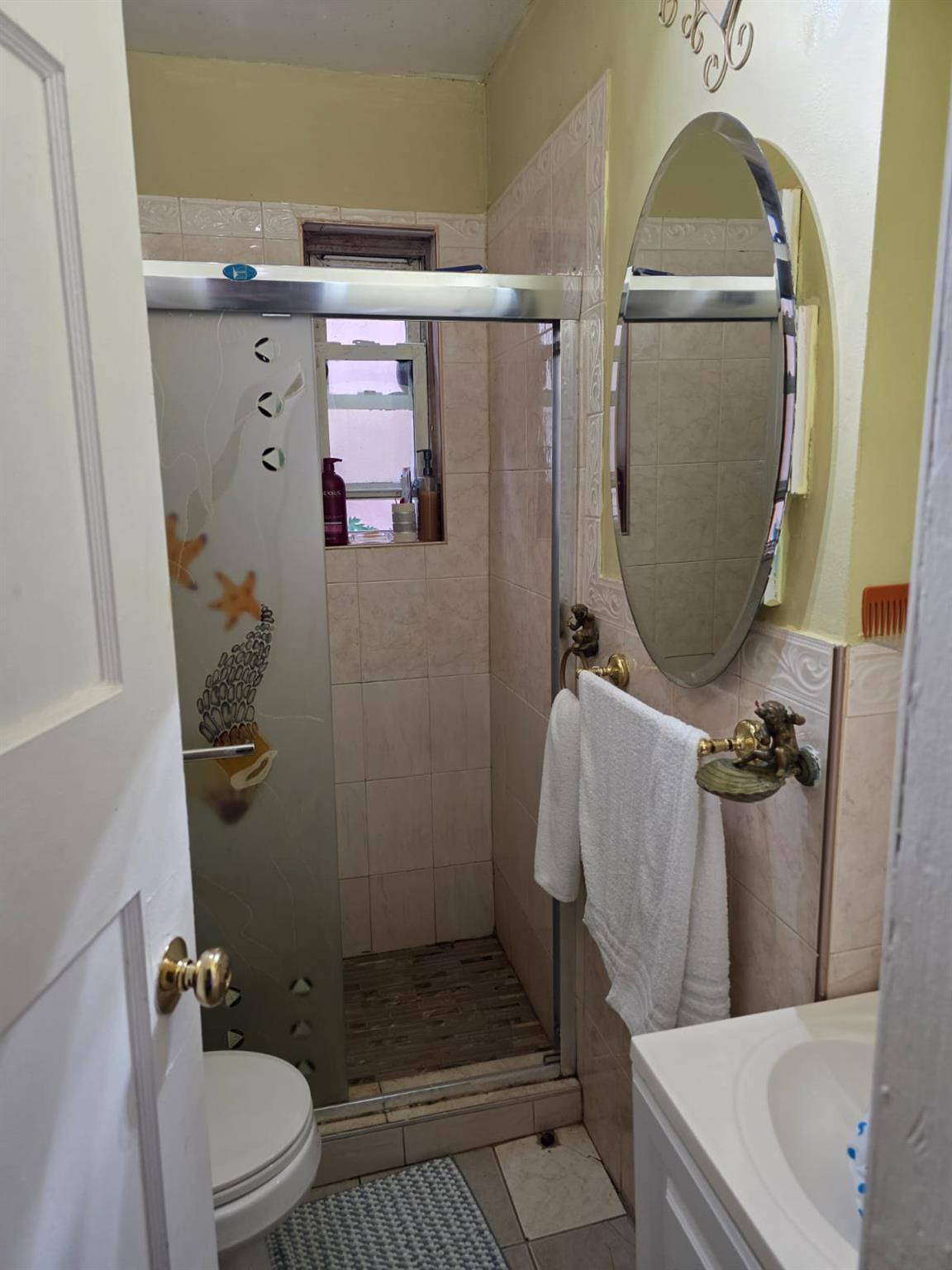 Single Family 104th  Queens, NY 11368, MLS-880820-19